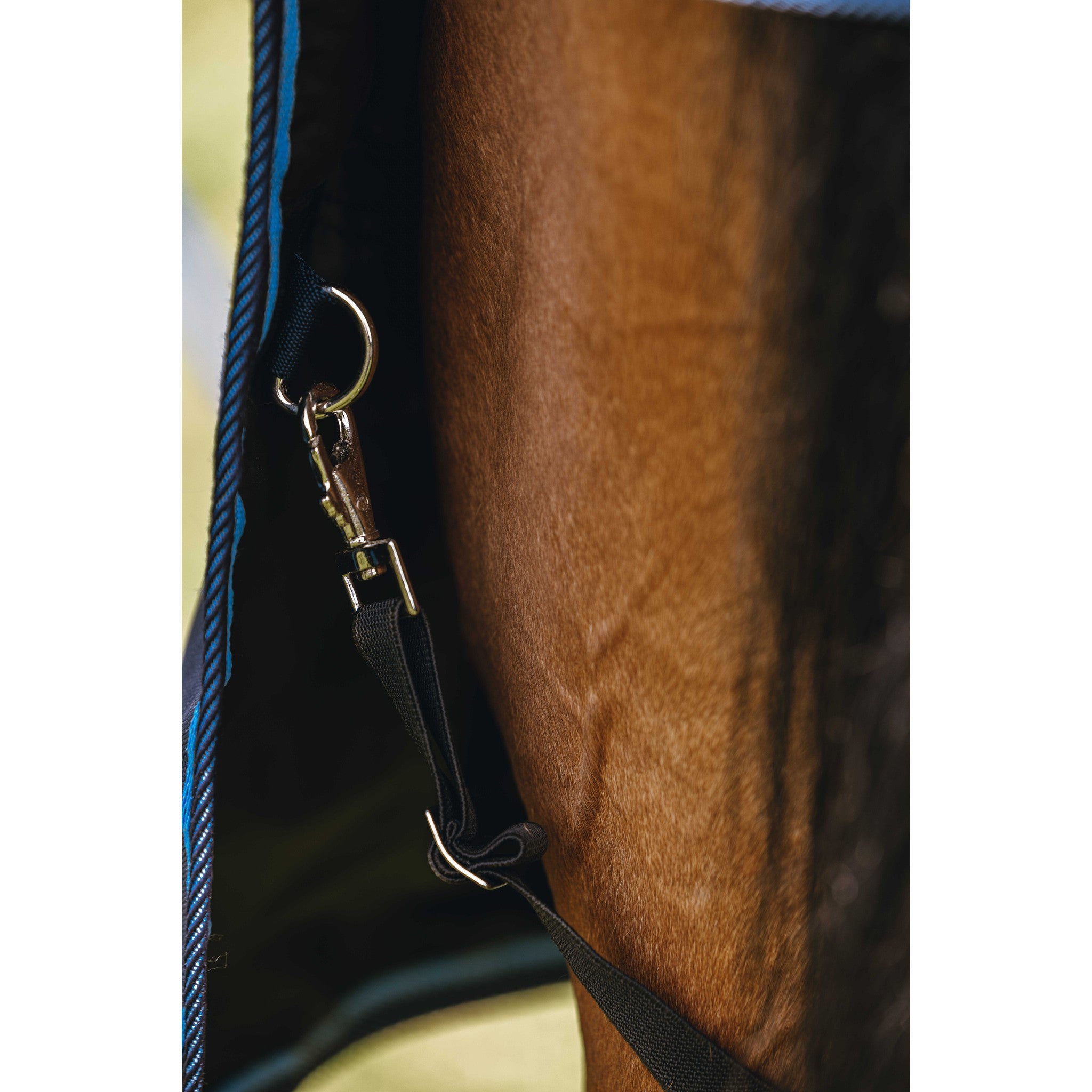 Riding World Eco 600D Sheet - Combo Navy blue 400889063