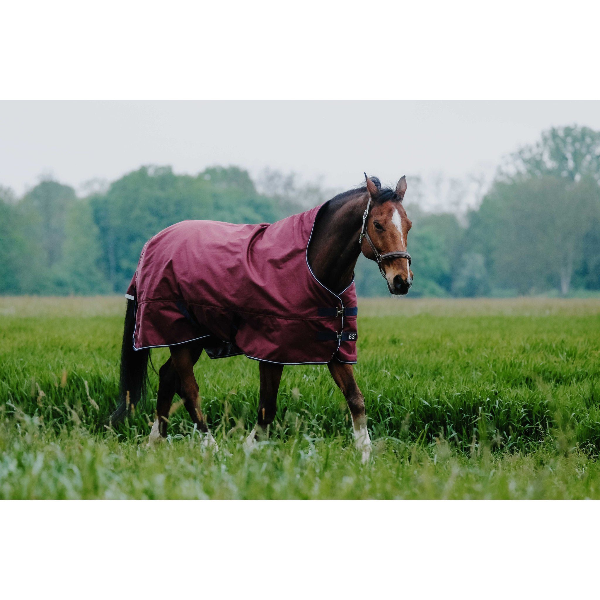 EQUITHÈME Tyrex 1200D Turnout sheet Reflec - High Neck Burgundy 400931363