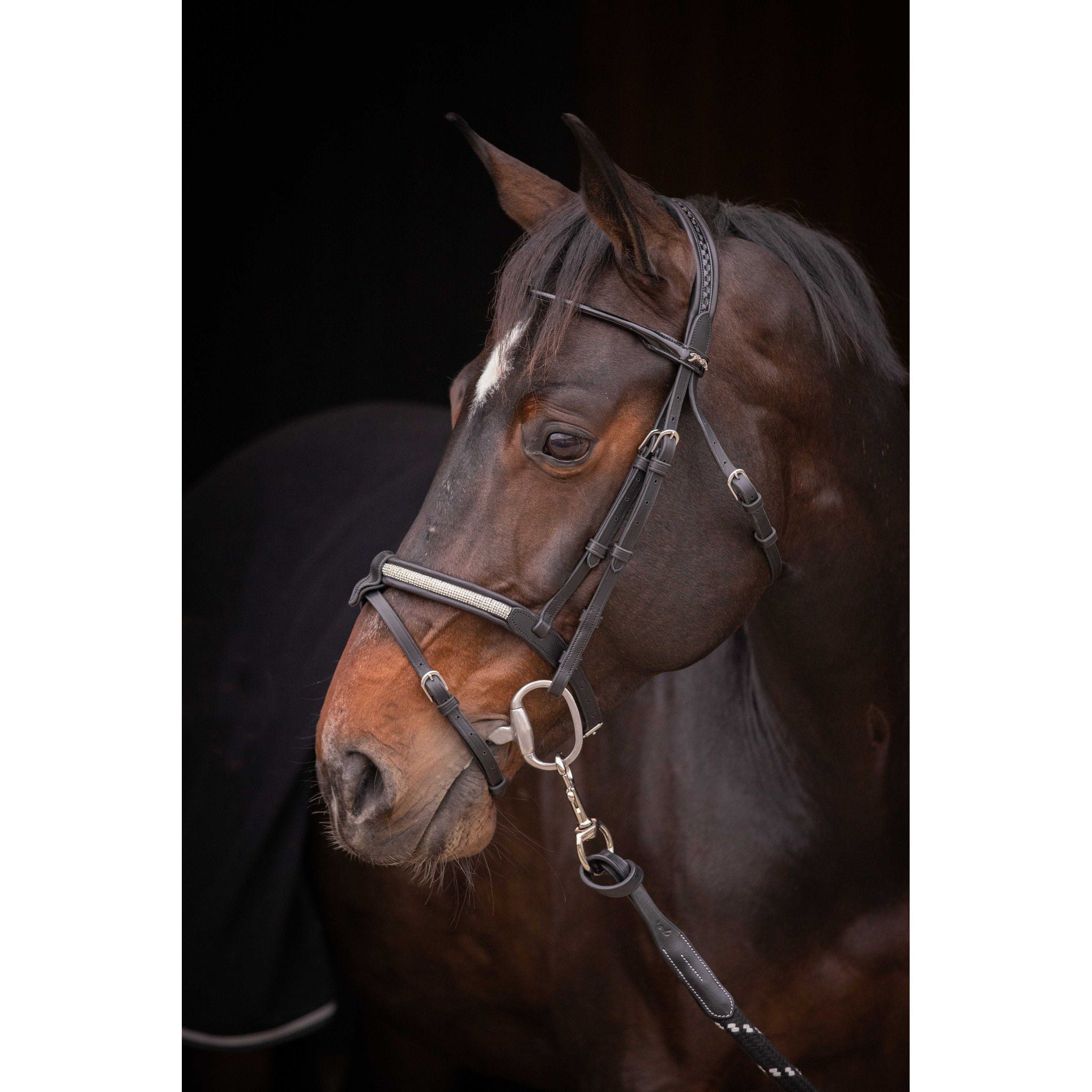 Pénélope Symphonie Bridle Black 301612302