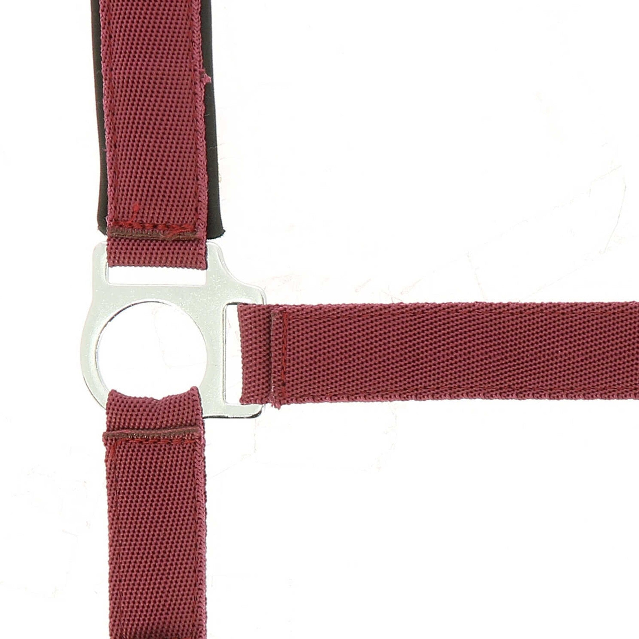 Norton nylon and neoprene lined Halter Burgundy 510494333