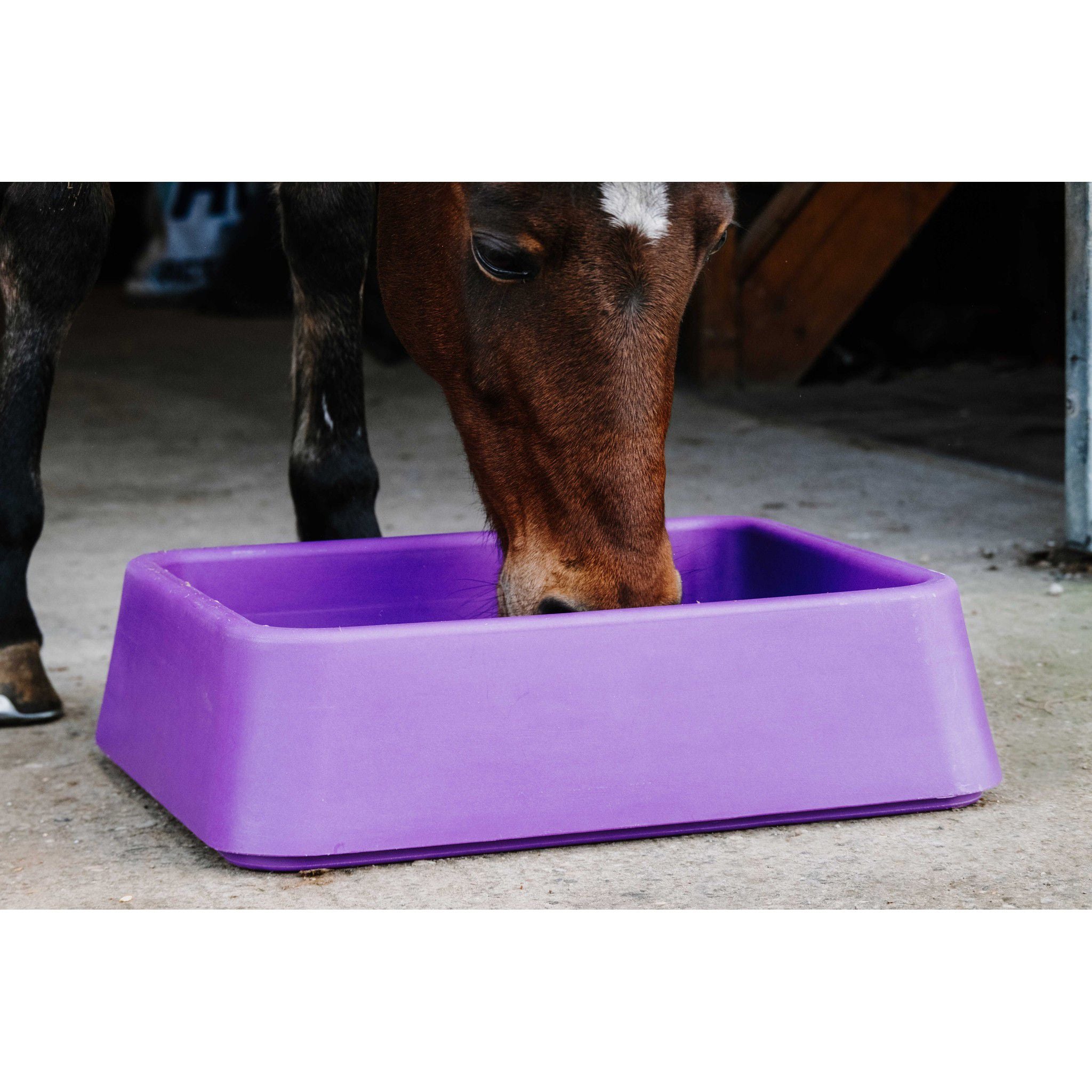 Hippo-Tonic Anti-gorging Feeder Purple 704014015