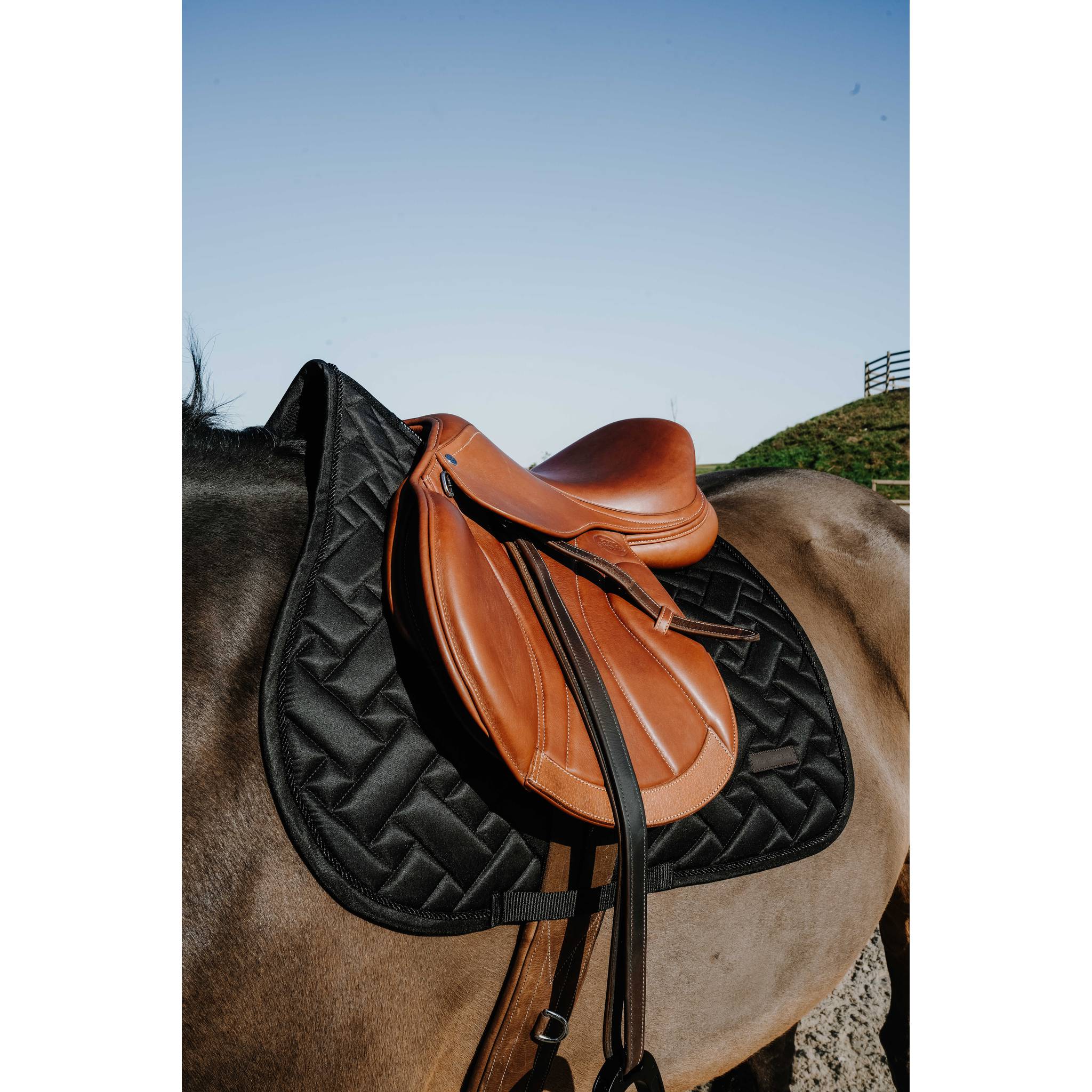 EQUITHÈME Starlet All-Purpose Saddle Pad Black - 204027002_ambi_2