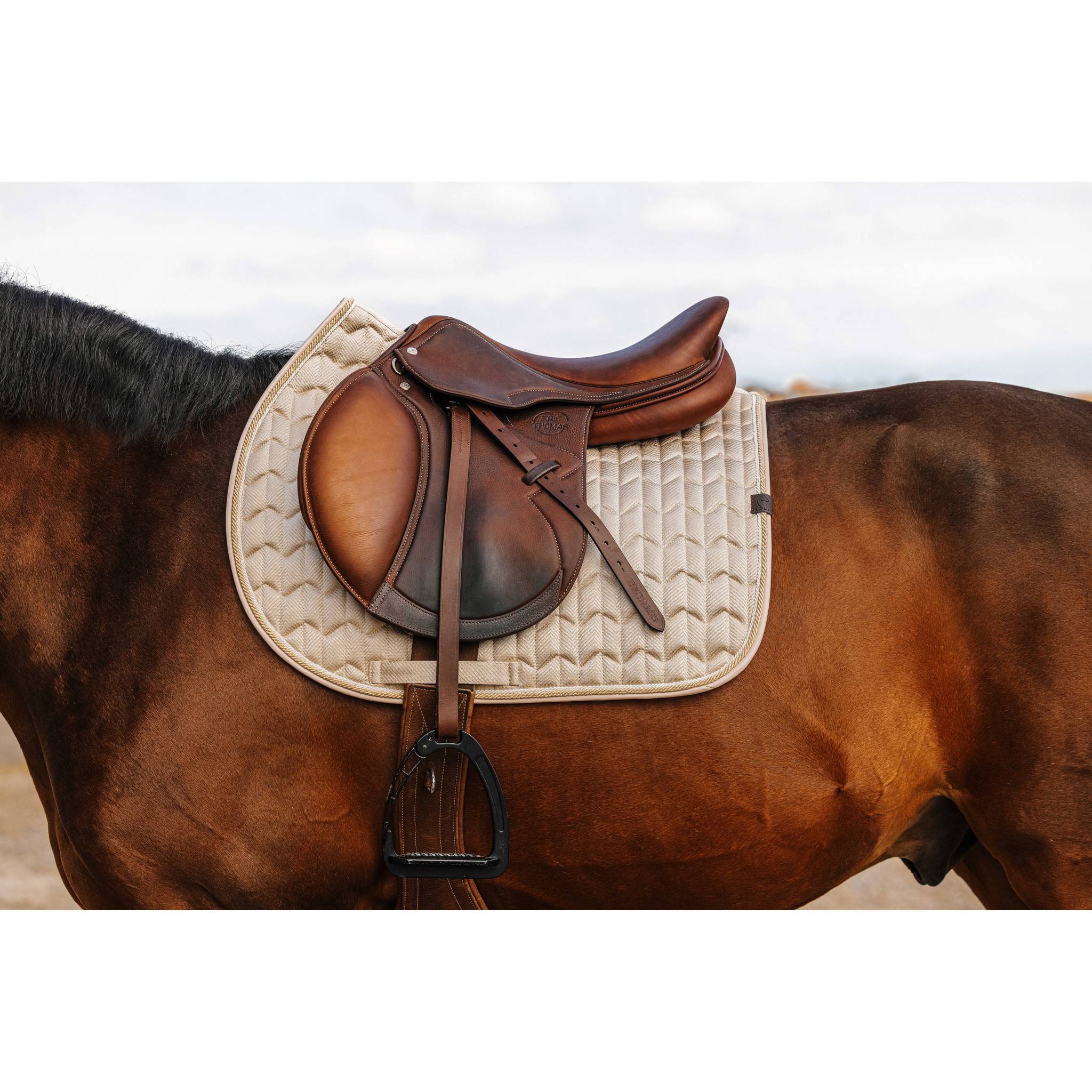 EQUITHÈME Excellence Saddle Pad - All purpose Beige 204012005