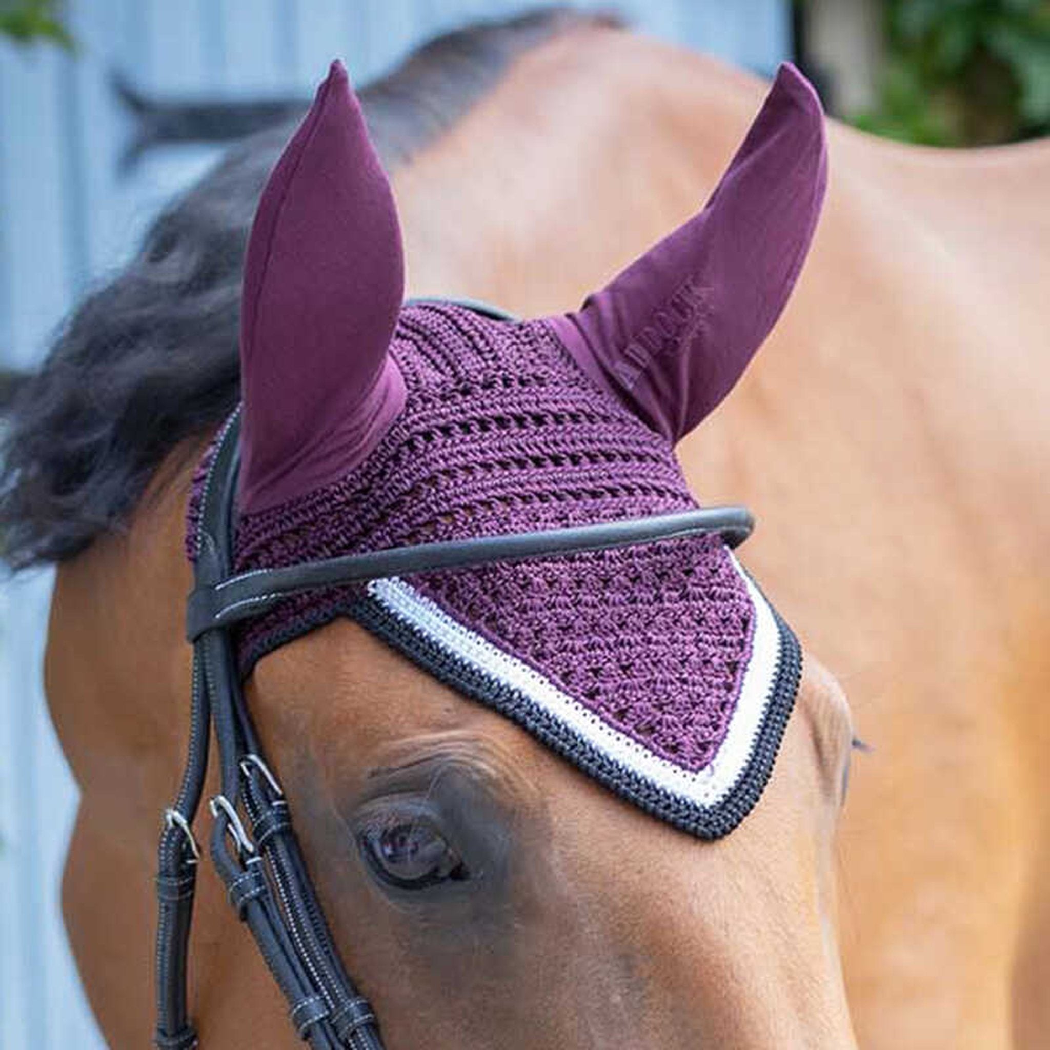 Paddock Sports Origine Fly Veil Plum - 306988034_ambi_7