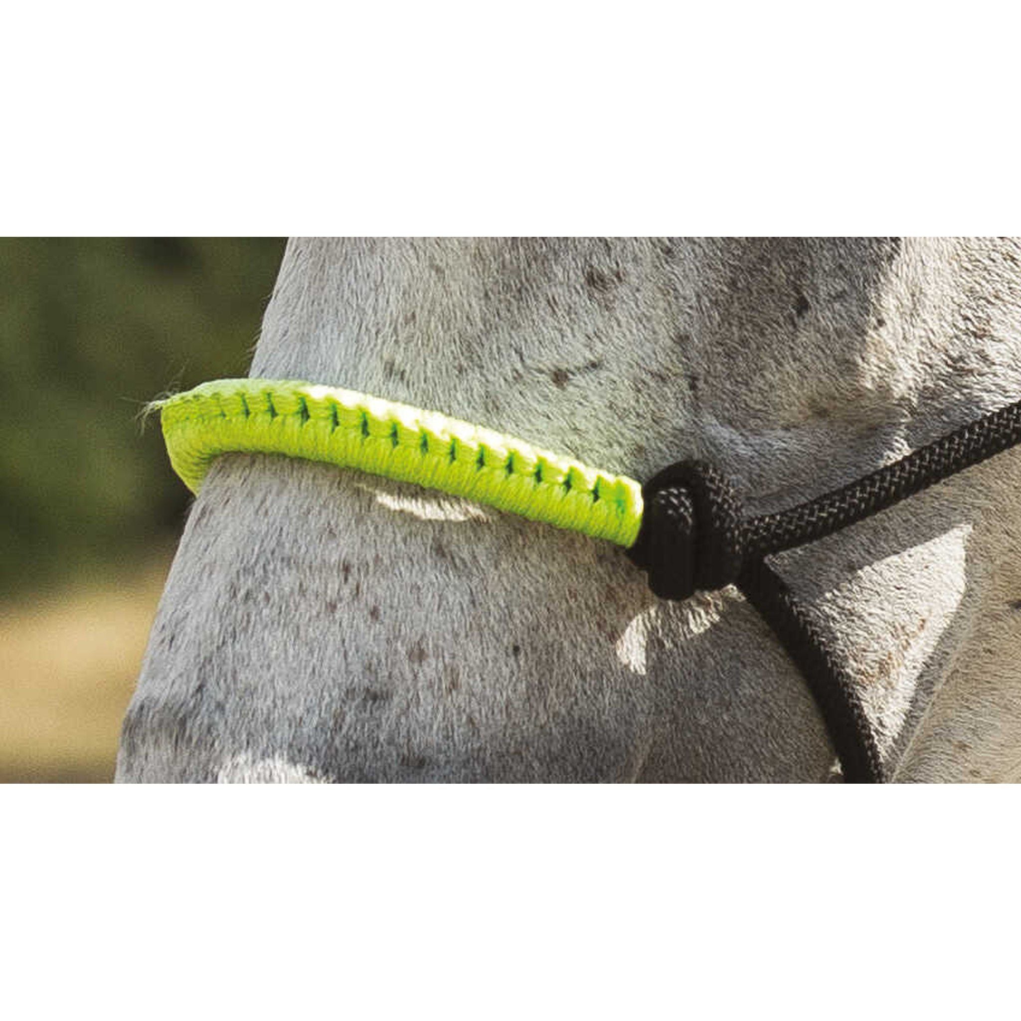 Norton Fun colour Ethological halter + lead rope Black/neon green 510160328