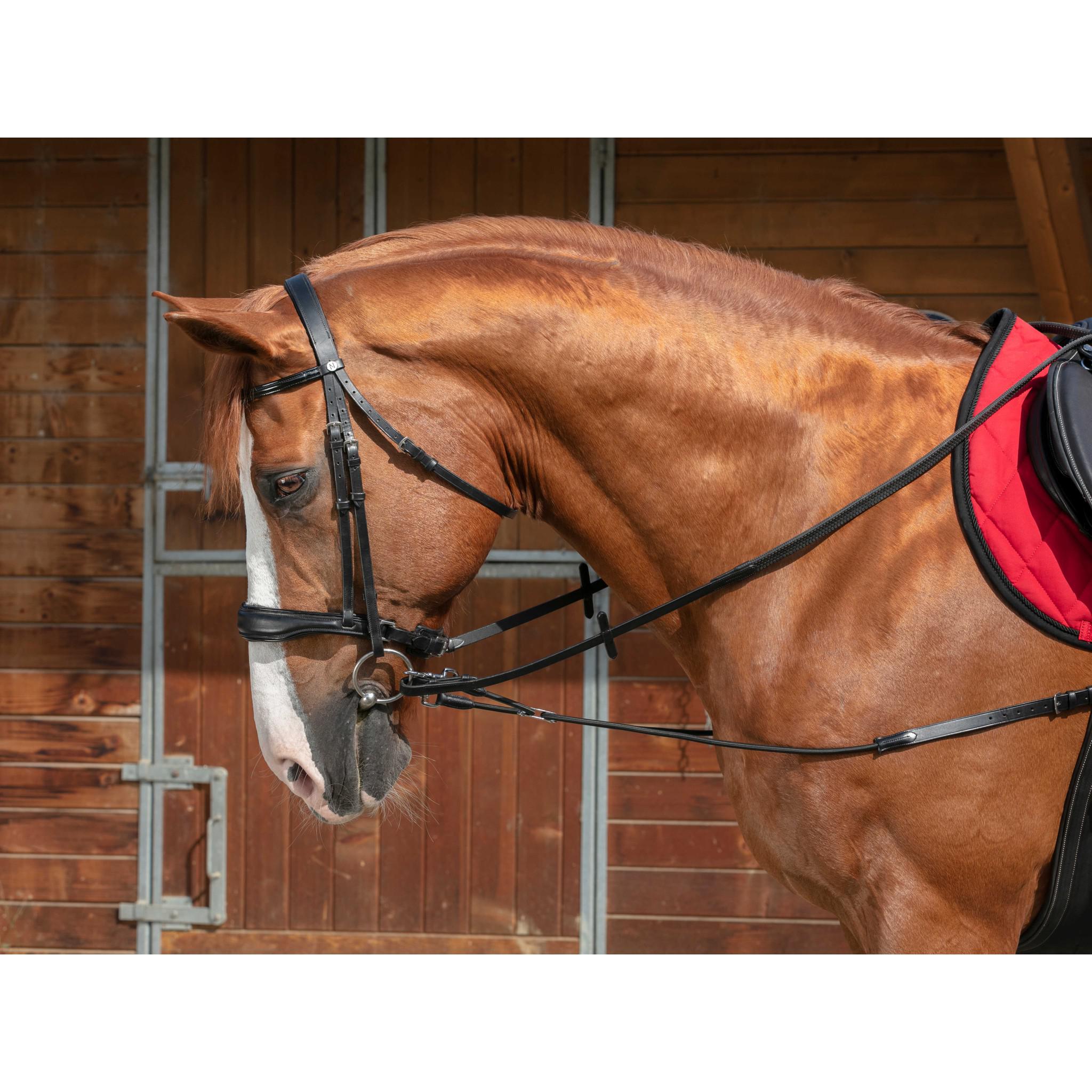 Norton Pro Short Elastic Side Reins with Pulleys Black 306394002