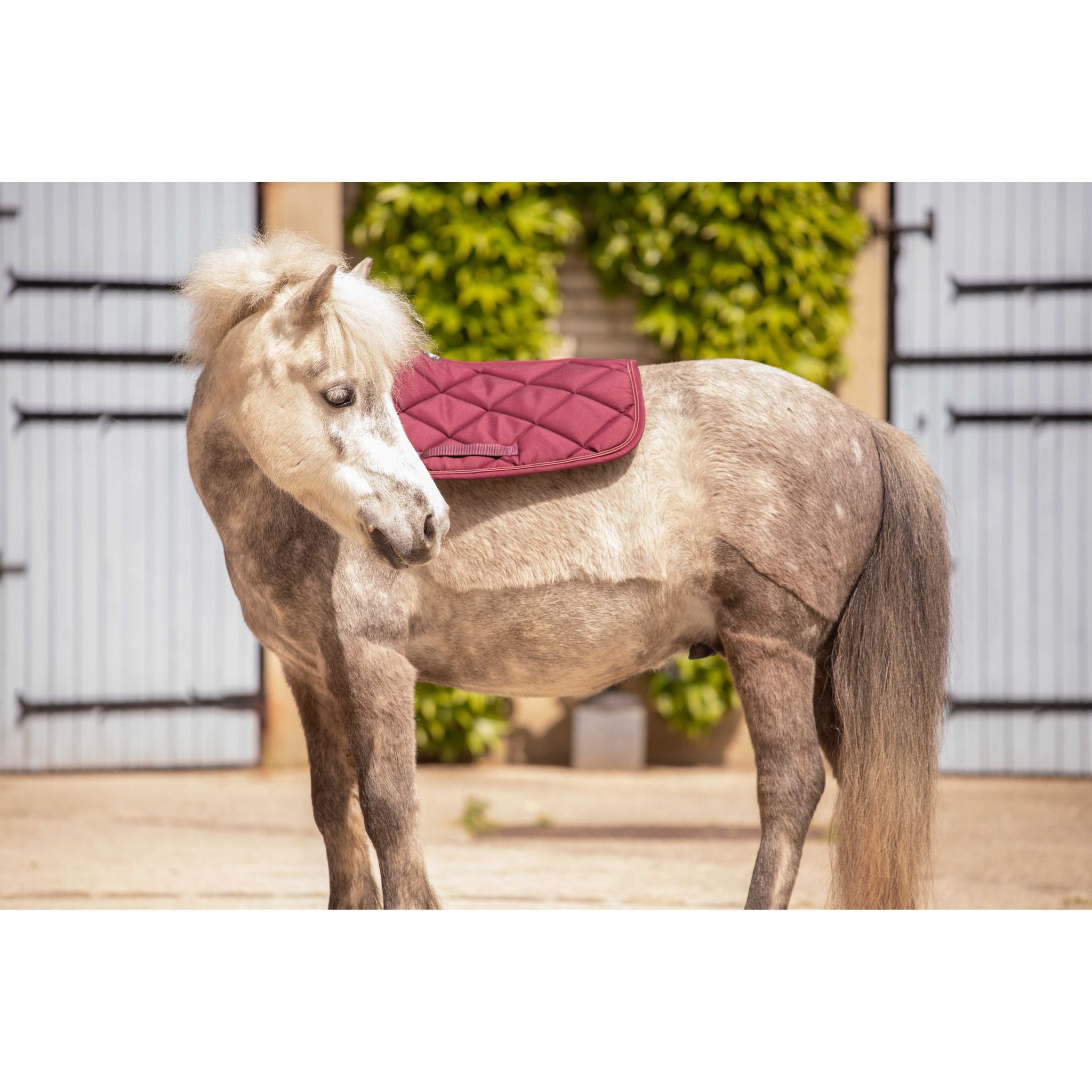 Paddock Sports Prem's All-Purpose Saddle Pad Plum - 204746034_ambi_8
