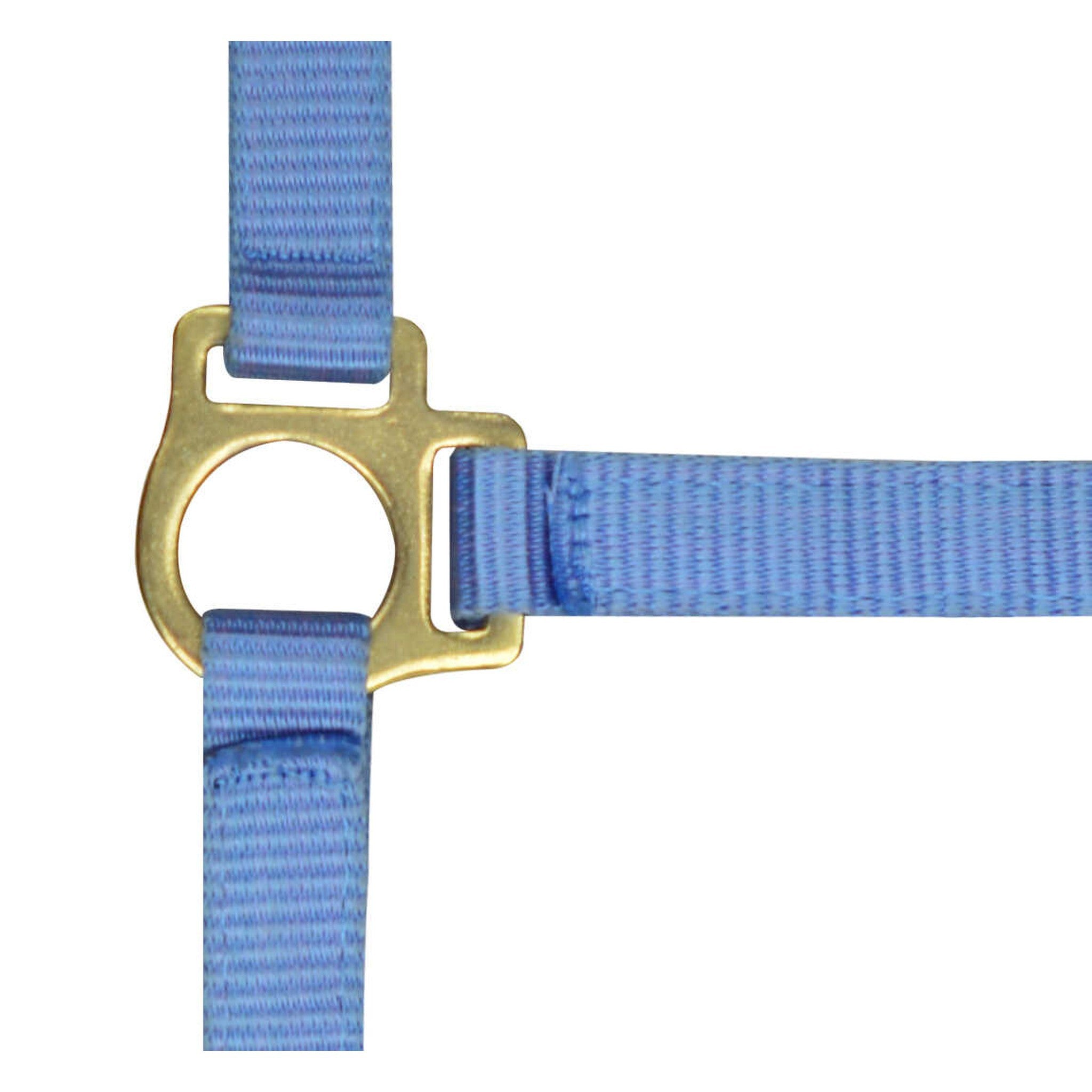 Norton Nylon halter foal Light blue 510038012