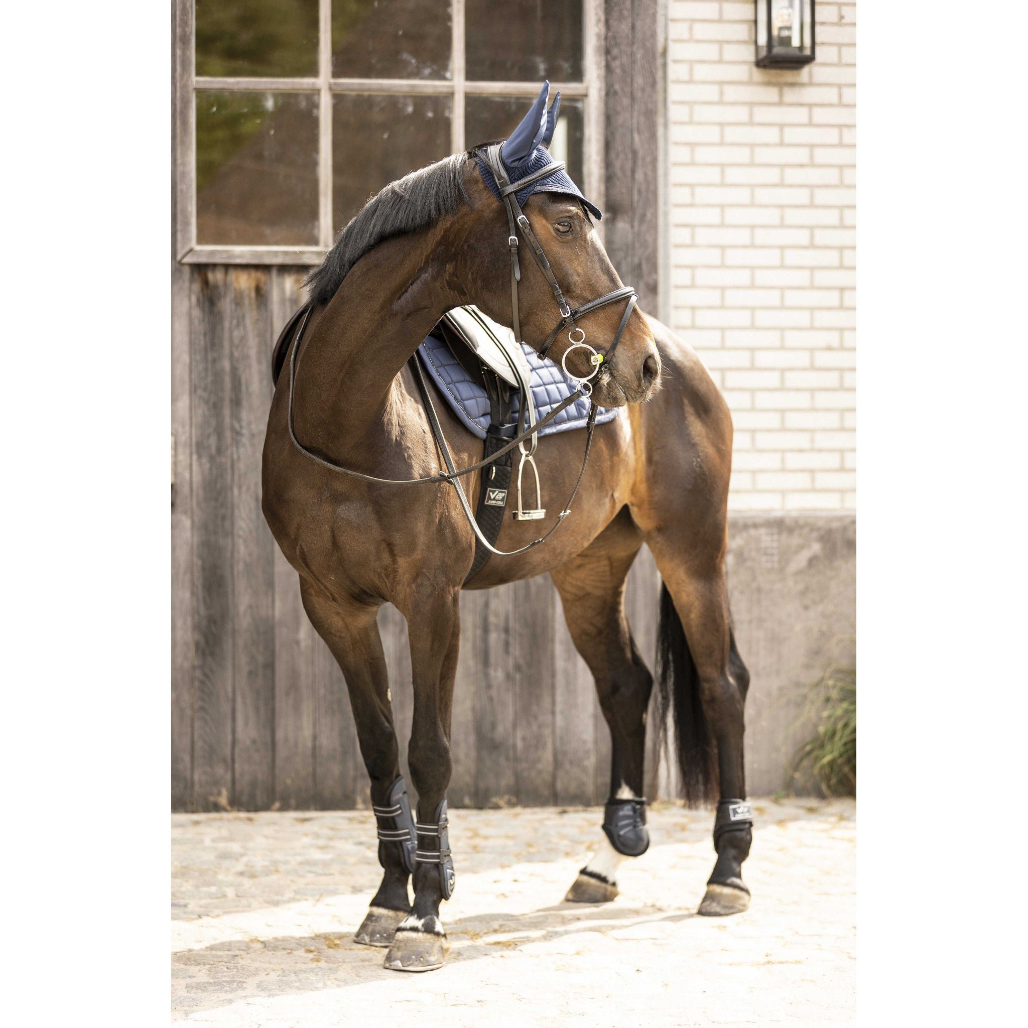 Lami-Cell Galaxy Fly Veil Navy blue 320031307