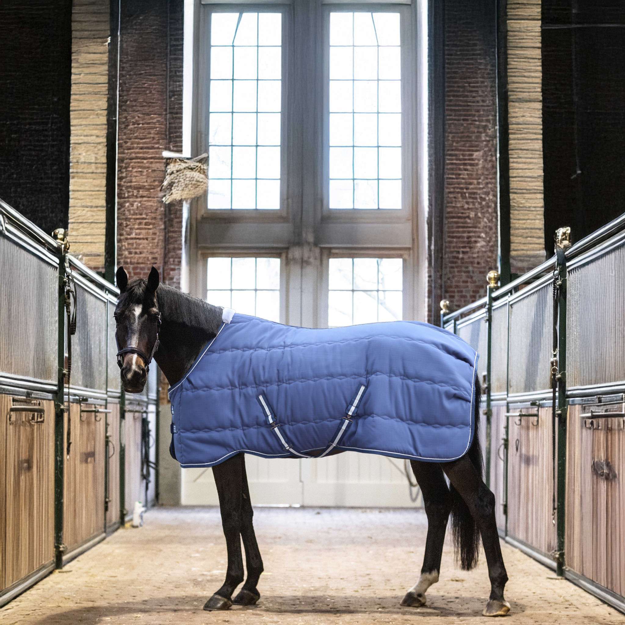 Lami-Cell Stable Master Stable Rug Navy blue 400766060