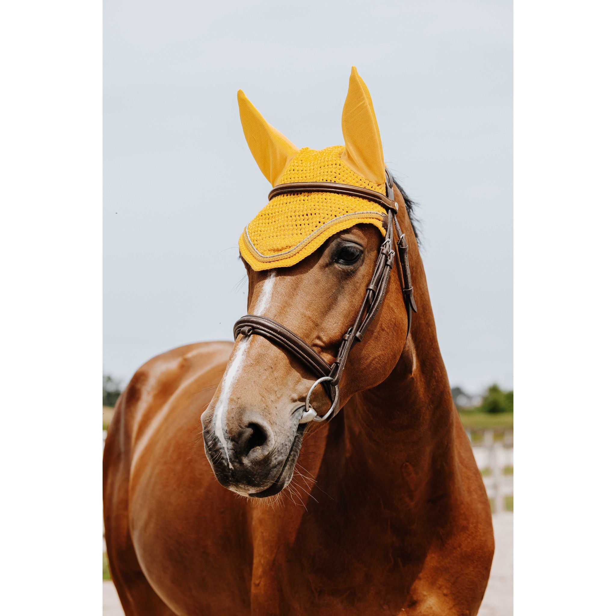 EQUITHÈME Hexalight fly veil Yellow 306882010