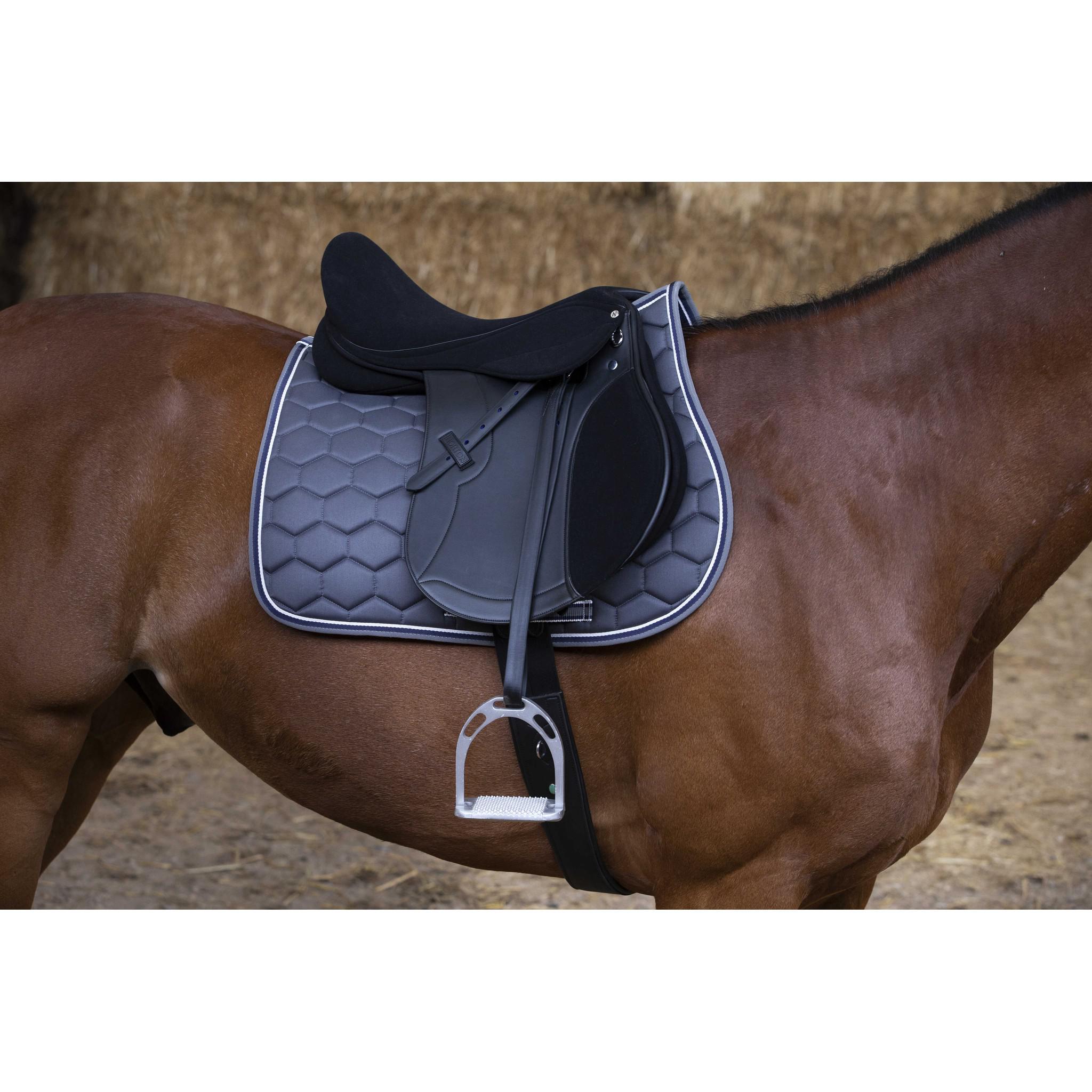 Norton Club Spring Evol Jumping saddle Black 117118170