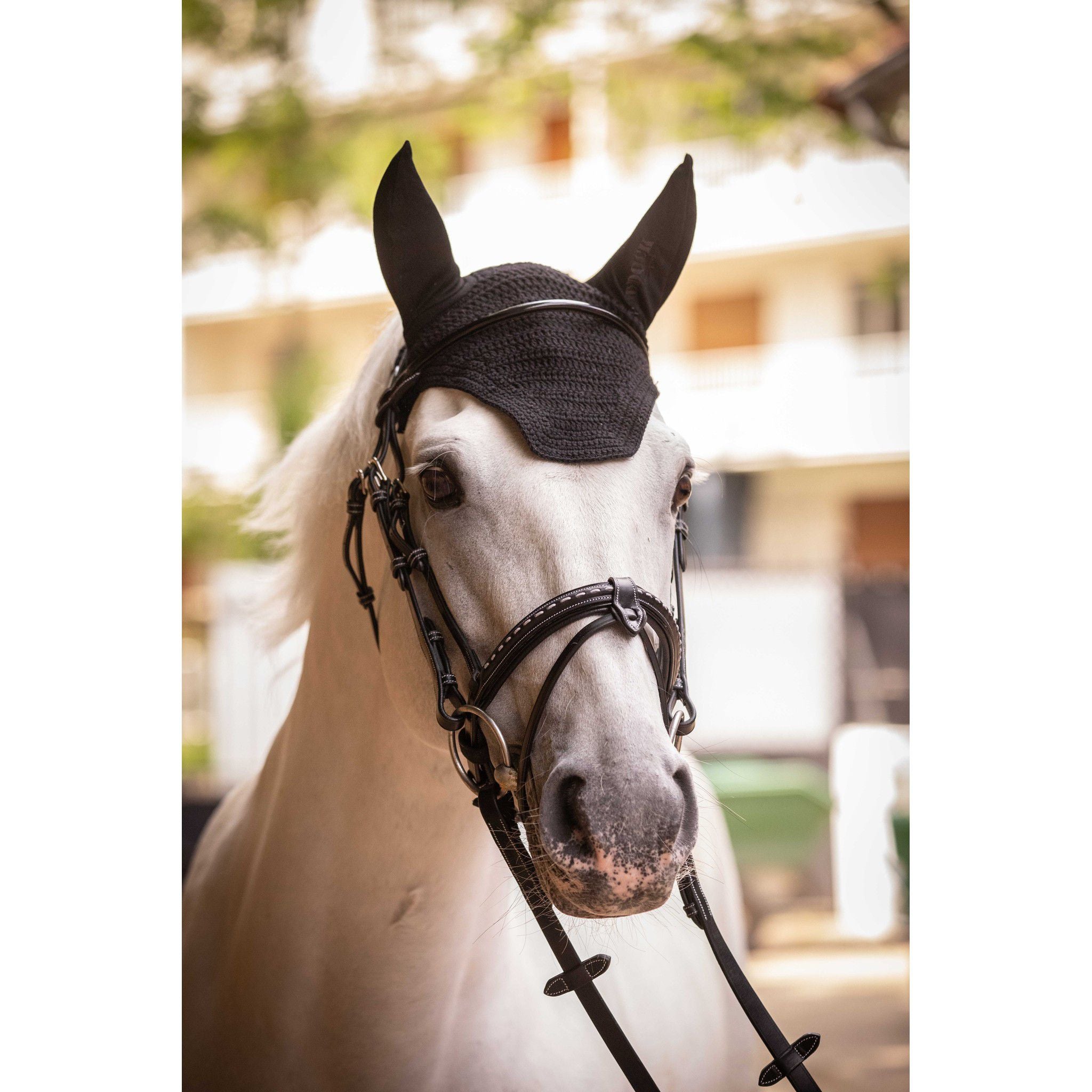 Paddock Sports Pro coton fly veil Black 306986002