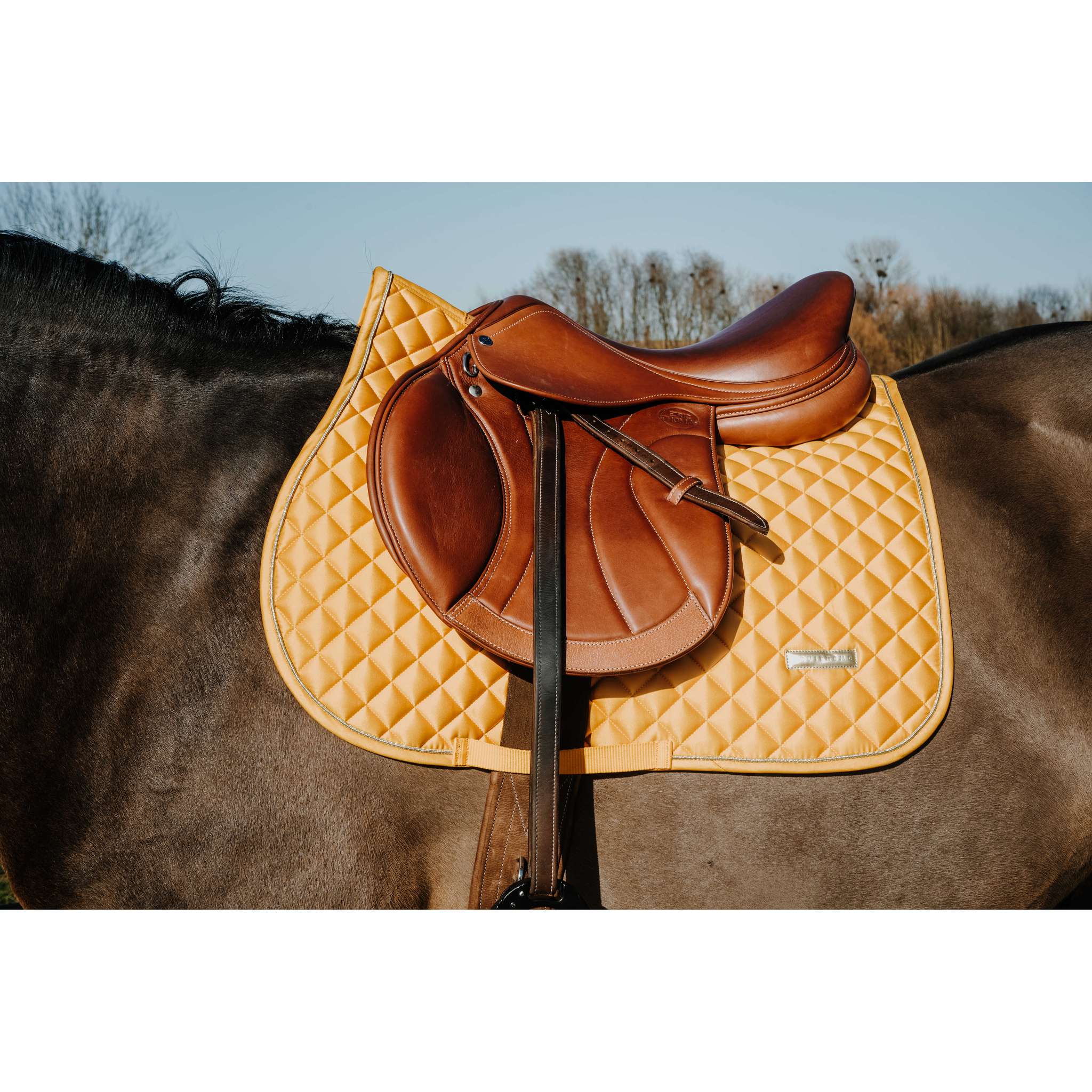 EQUITHÈME All-Purpose Saddle Pad - Mother of Pearl Yellow - 204029010_ambi_1