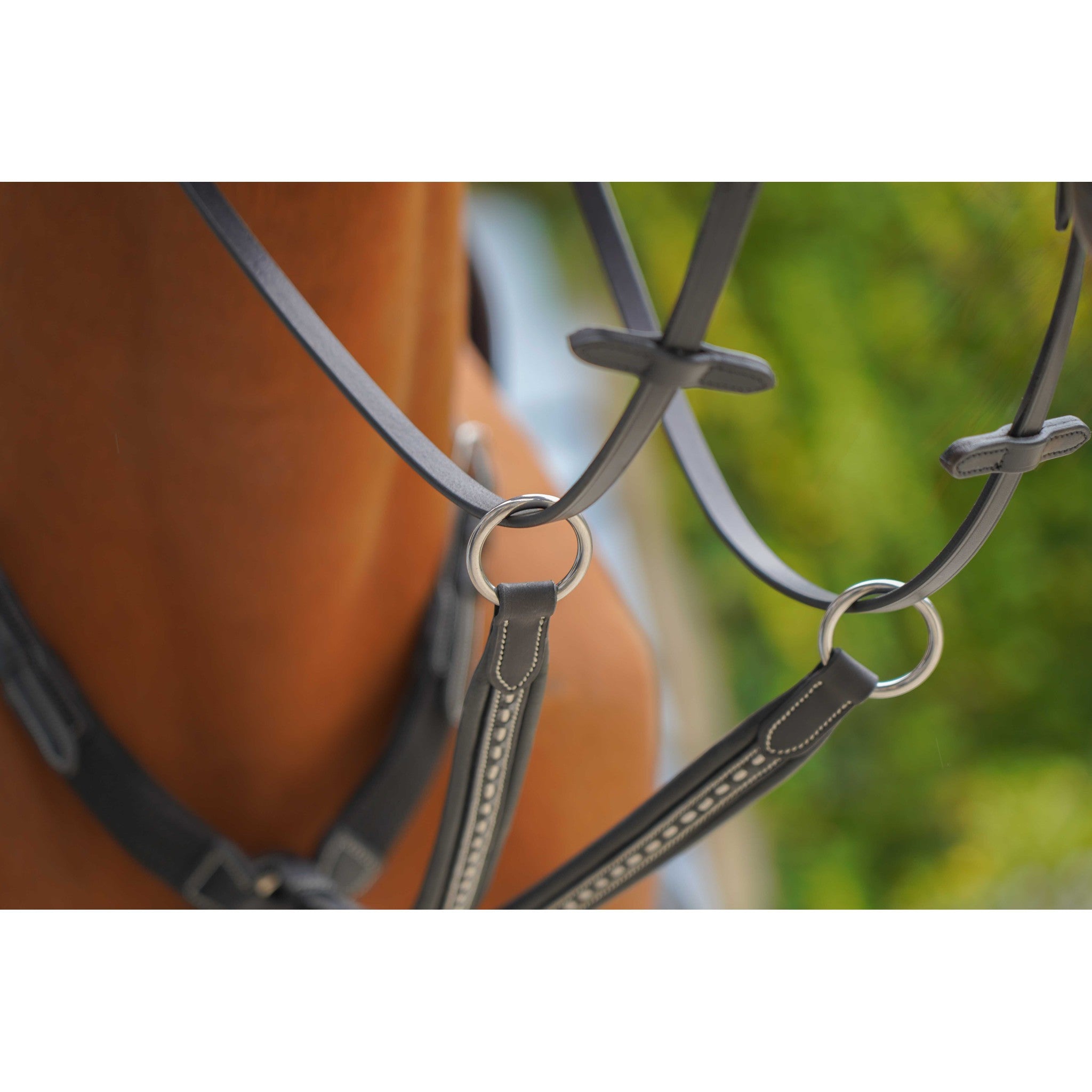 Pénélope Point Sellier Martingale Attachment Black 306153002