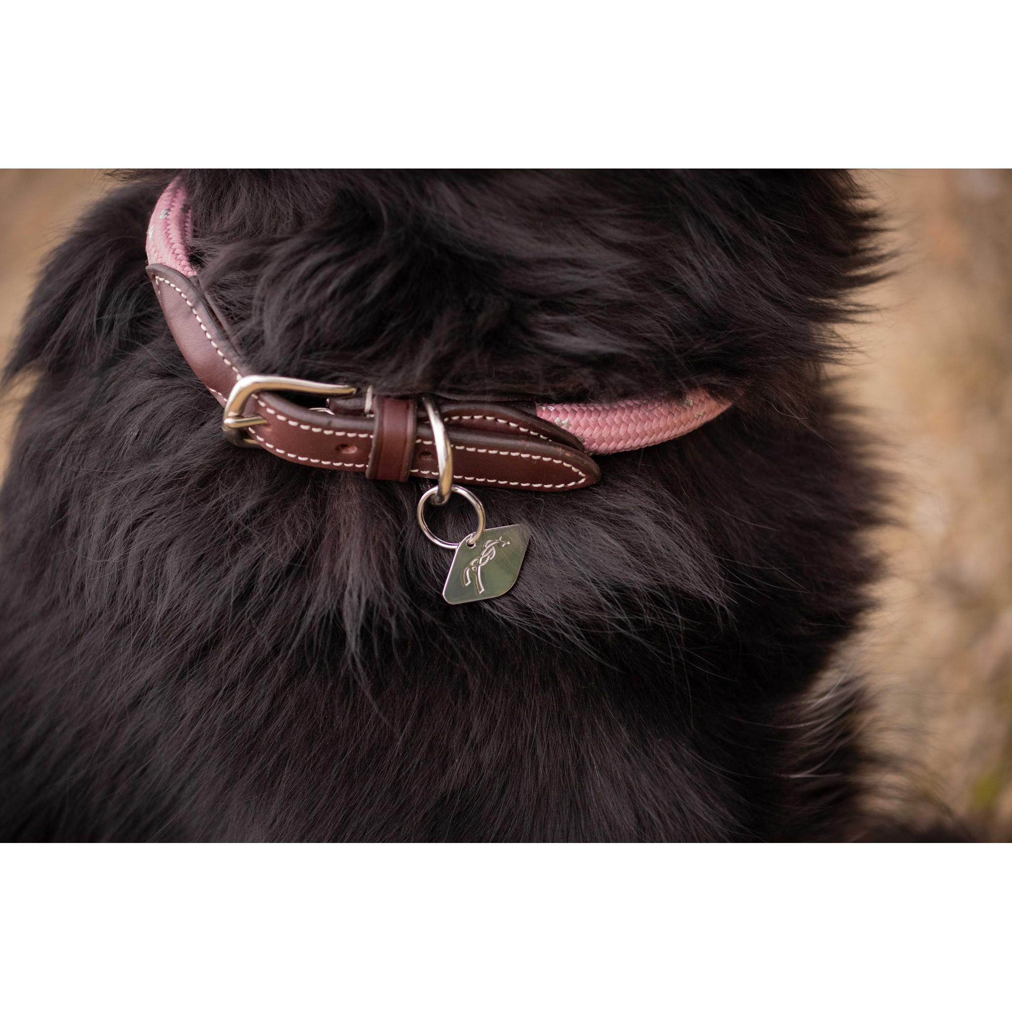 Pénélope Billie Dog Collar Pink 409826440