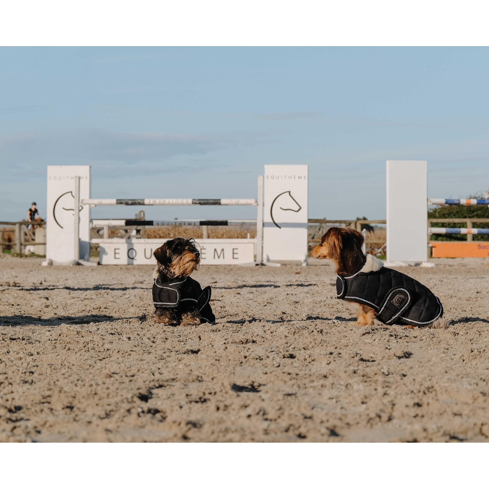 Je t'aime EQUITHÈME Velours dog rug Black 409037240