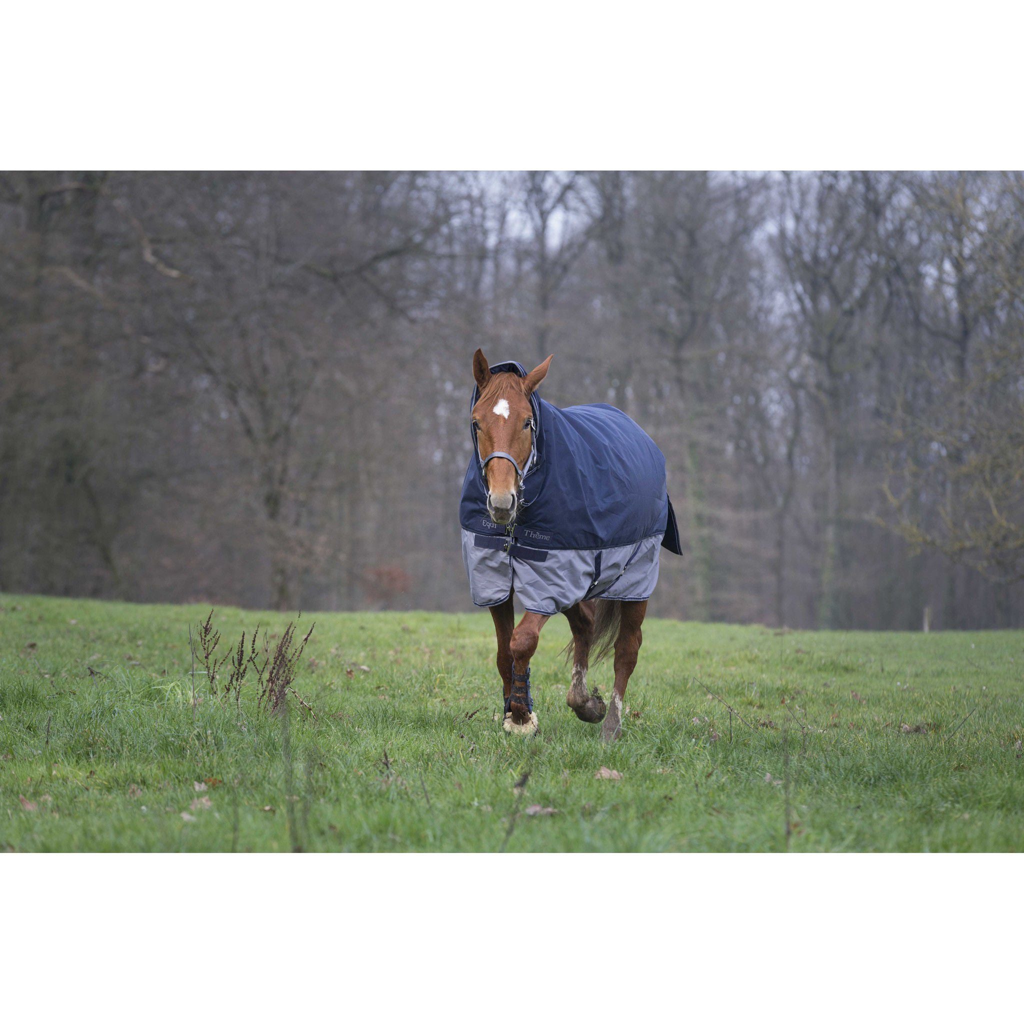 EQUITHÈME Tyrex 600D turnout rug - Combo Navy blue/grey 400920763