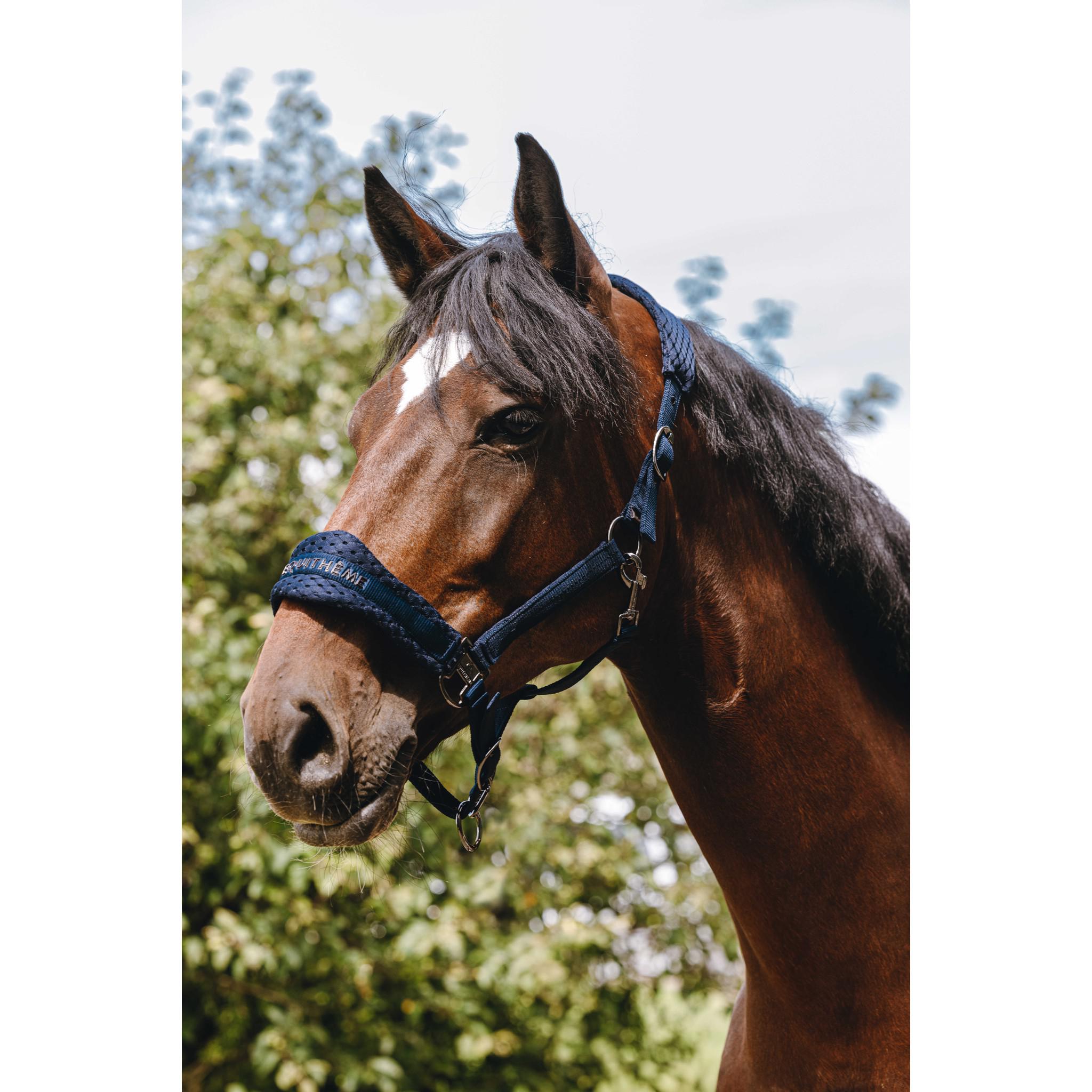 EQUITHÈME 3D Mesh Halter Navy blue 510261307