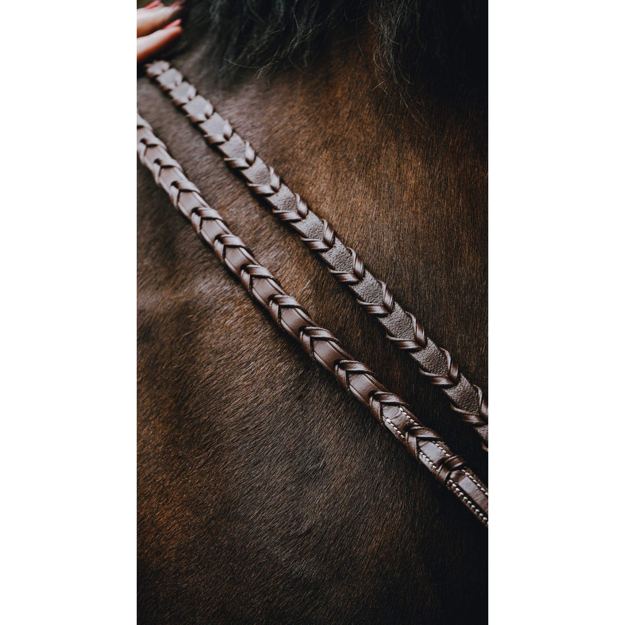 NORTON PRO braided leather reins Havana 305604318