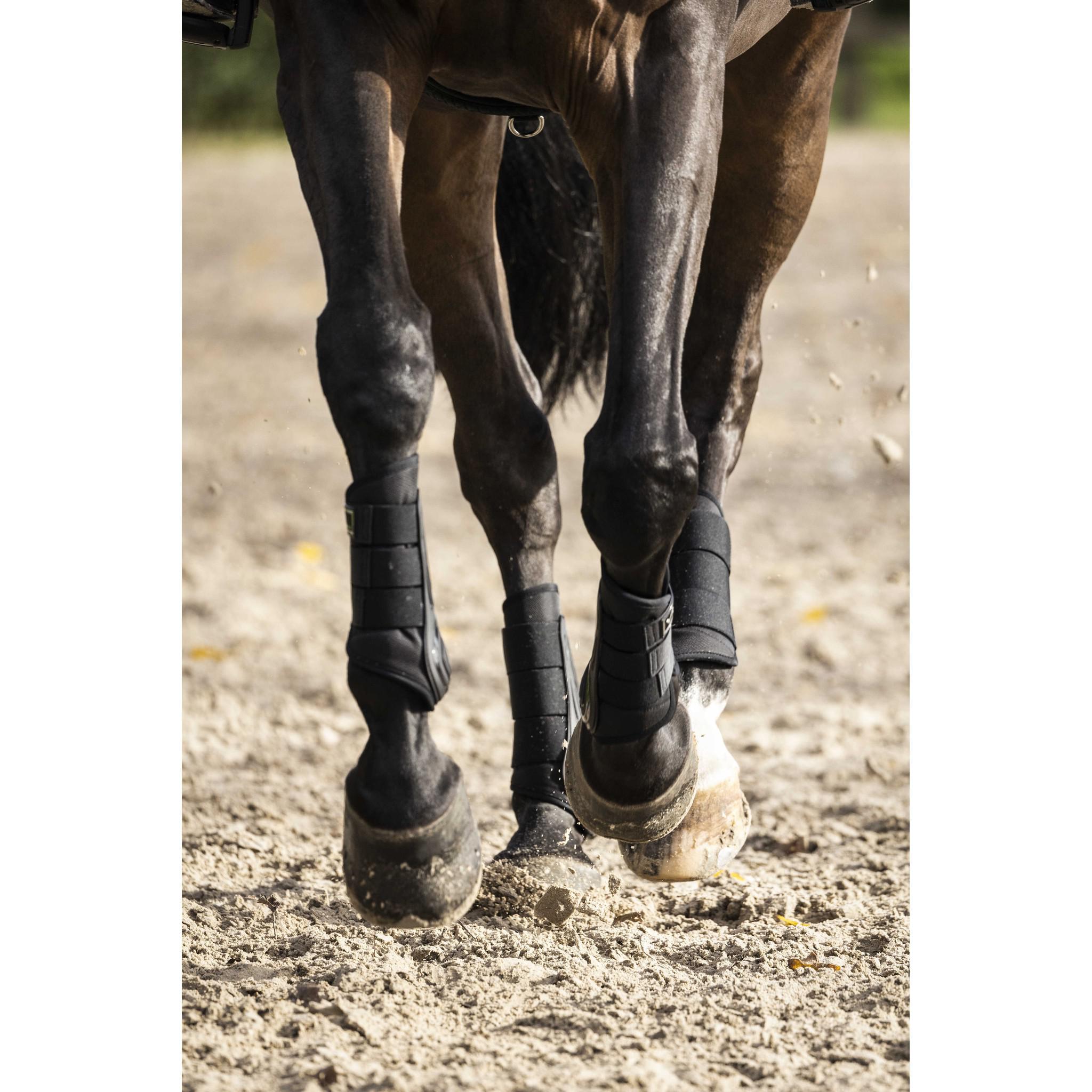 Lami-Cell V22 Brushing boots Closed tendon boots Black 550140202