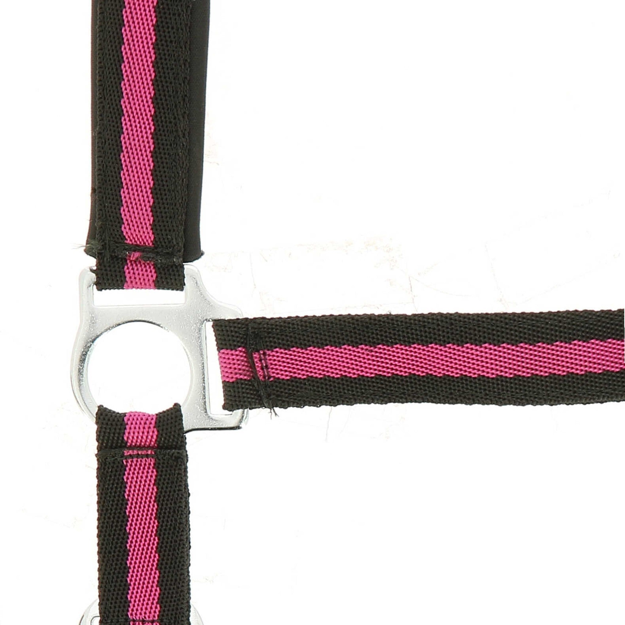 Norton nylon and neoprene lined Halter Black/raspberry 510494323