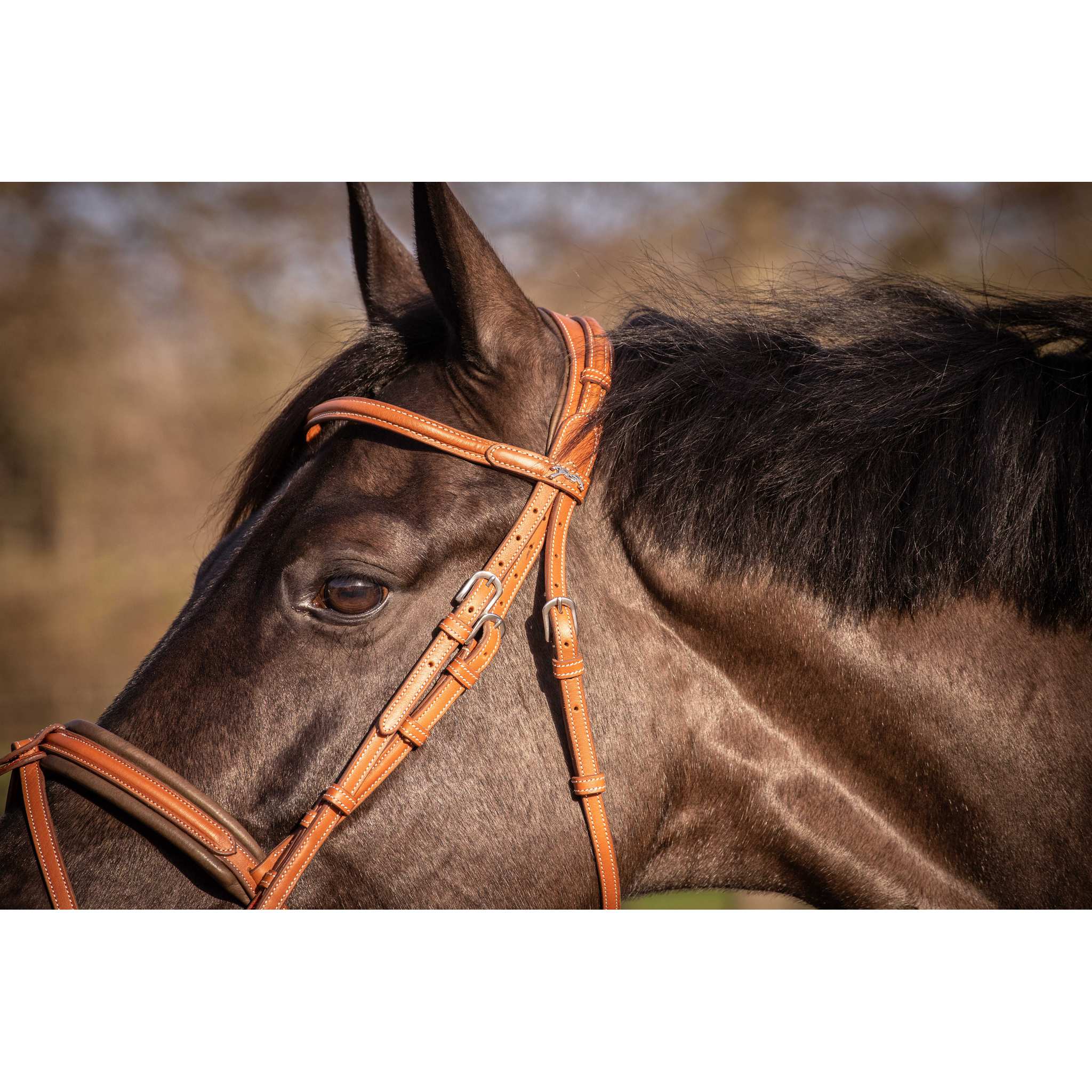 Penelope Elegance Bridle Cognac - 301605314_ambi_8