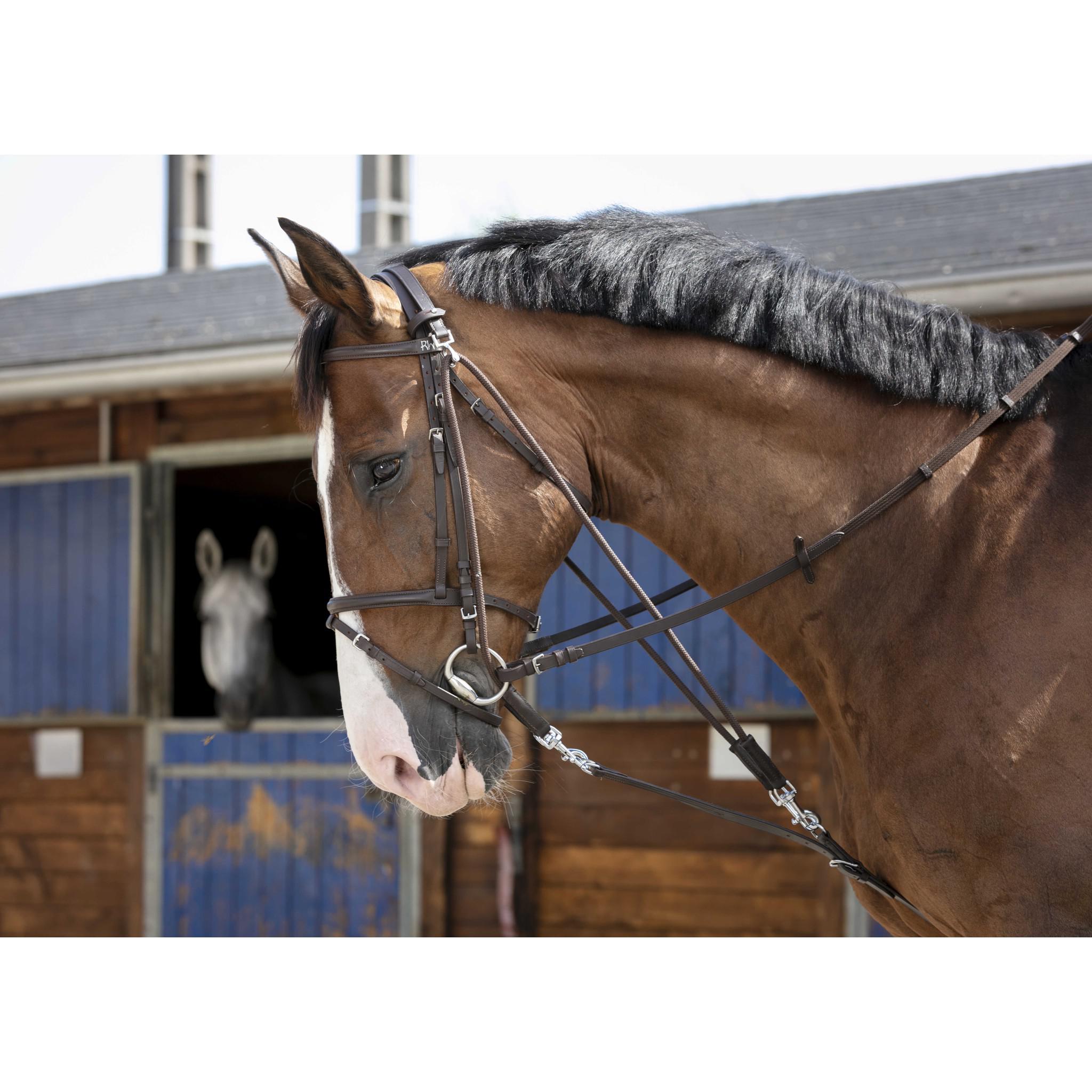 Riding World Gogue with pulleys Havana 306396318