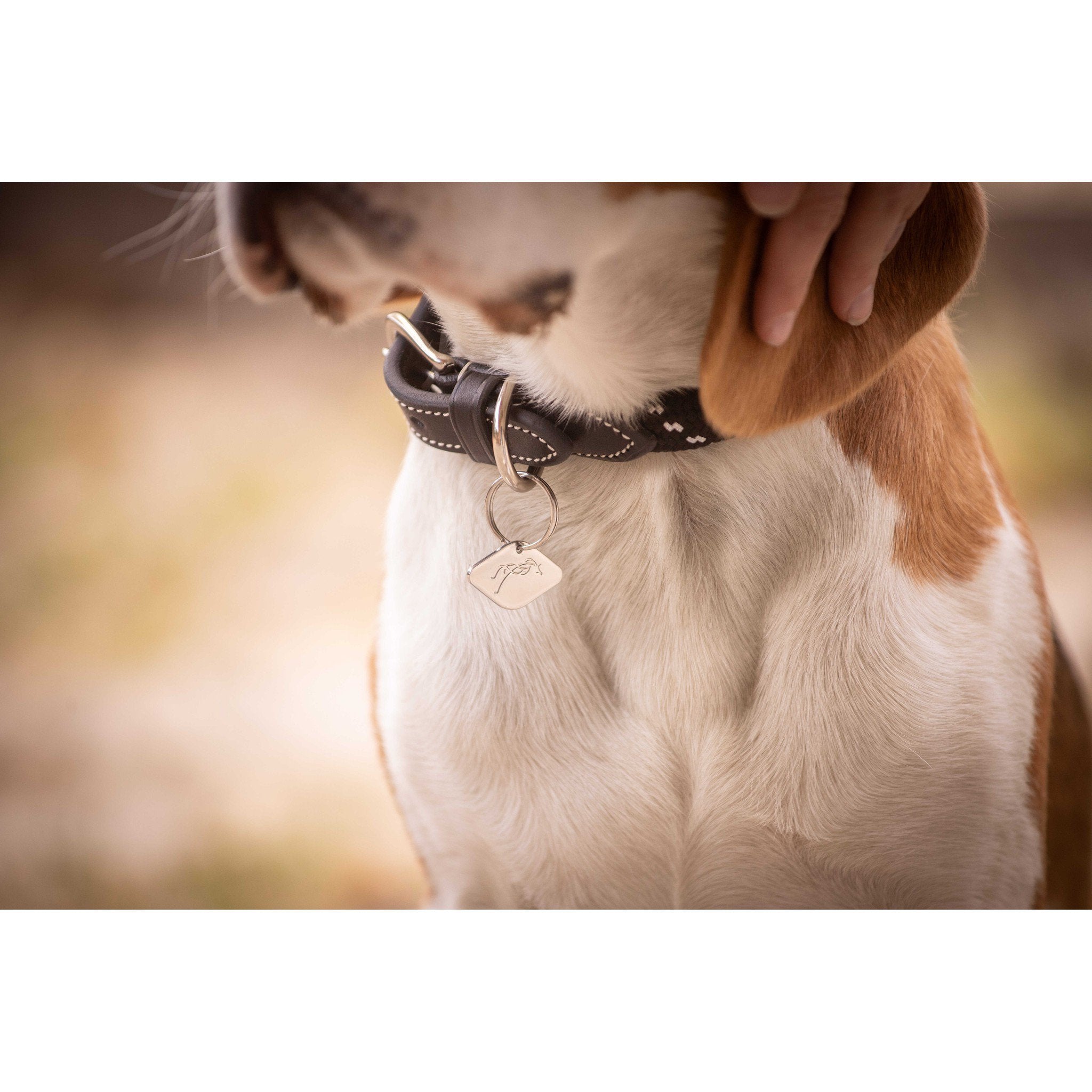 Pénélope Billie Dog Collar Black 409826240