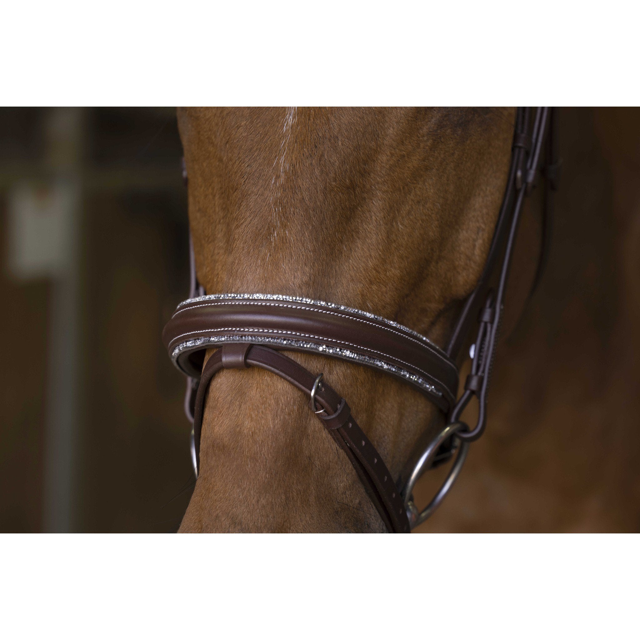 Norton Pro Rock Bridle Havana 301892318