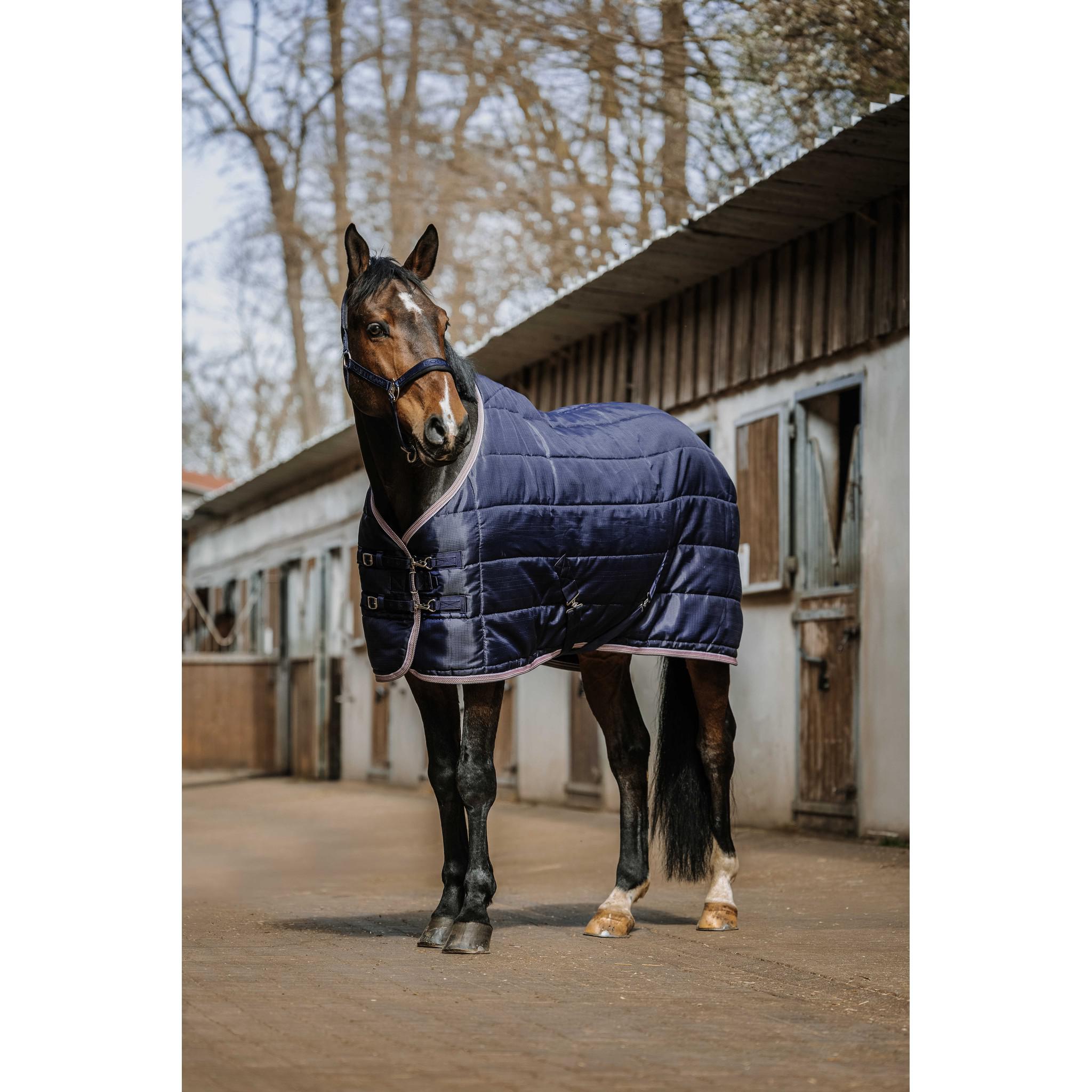 EQUITHÈME Stable Rug - Aztec Navy blue 400883763