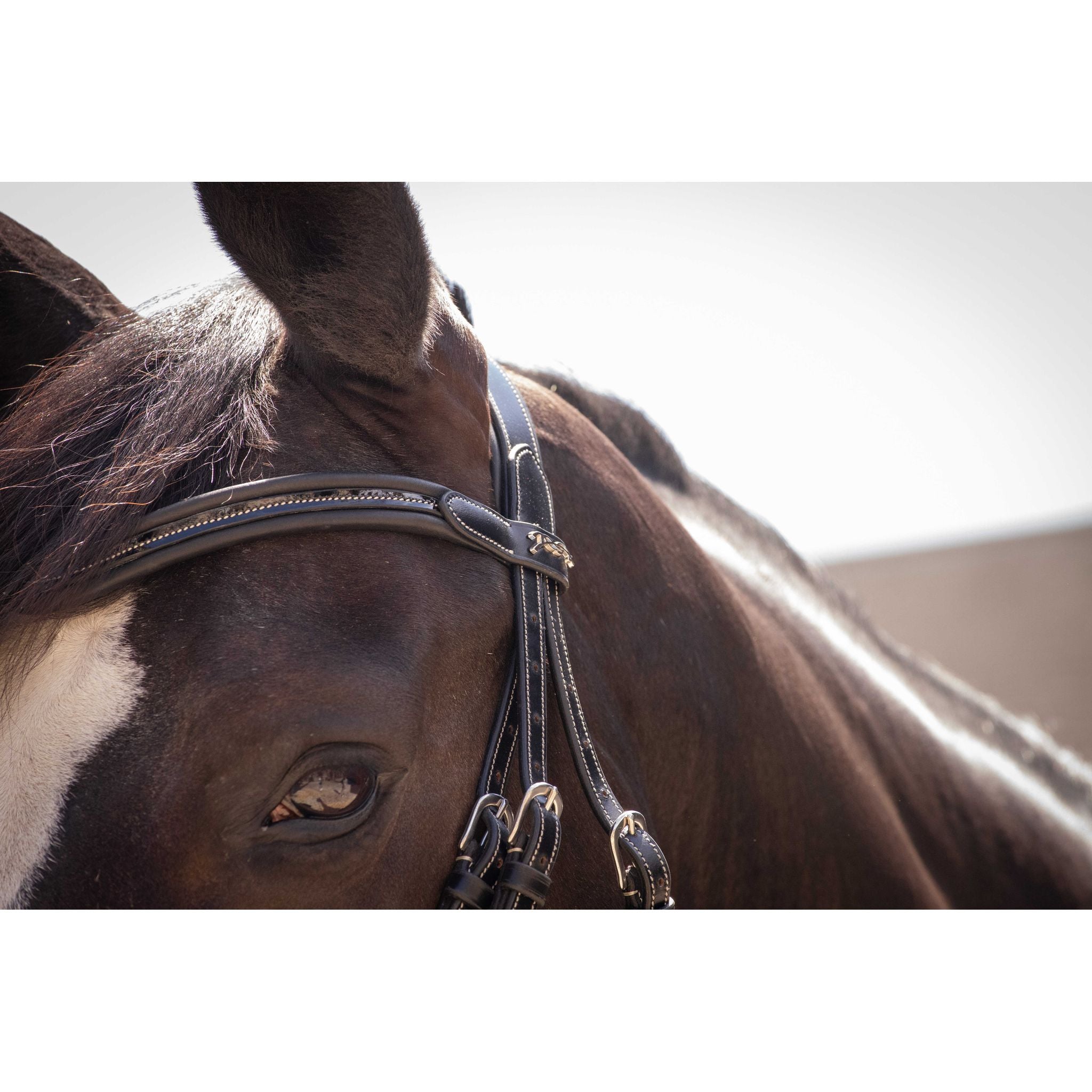 Penelope Smoothie Pearl Bridle Black - 301604302_ambi_6