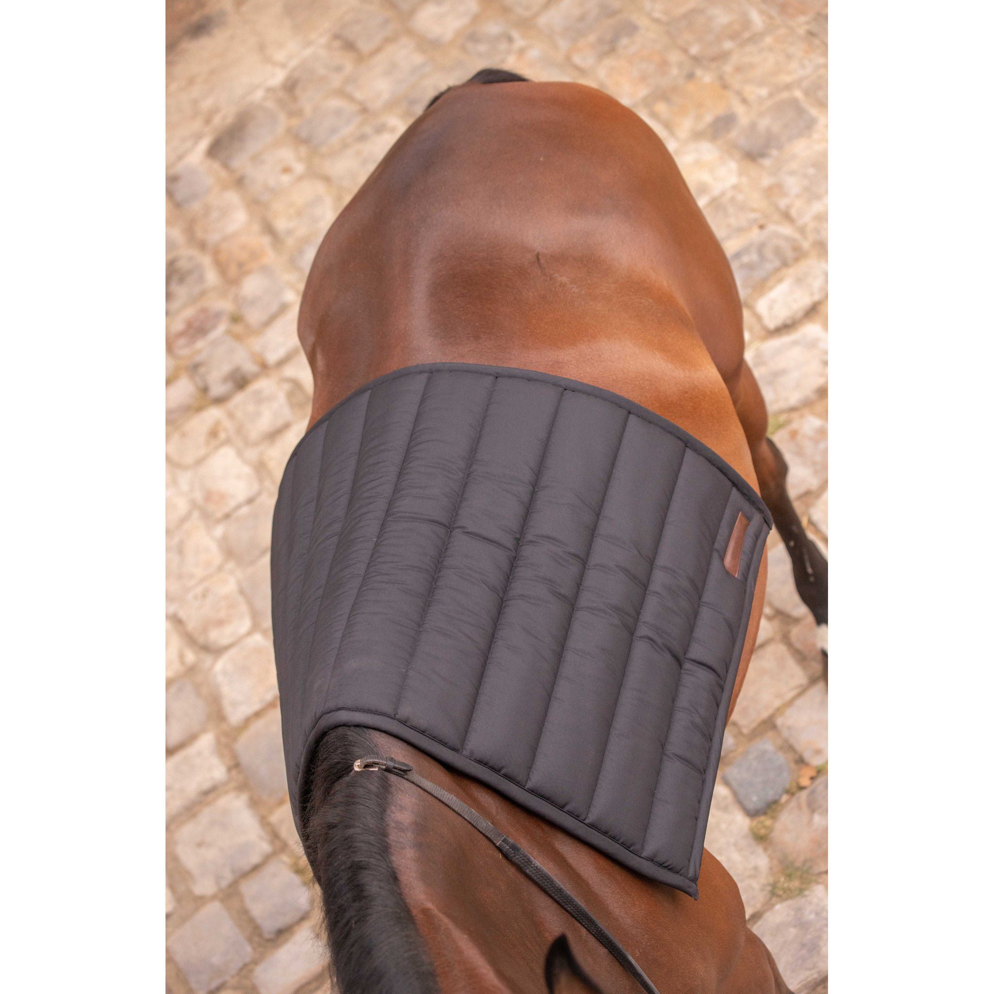 Paddock Sports Big Pad Saddle pad - All purpose Black 204752002