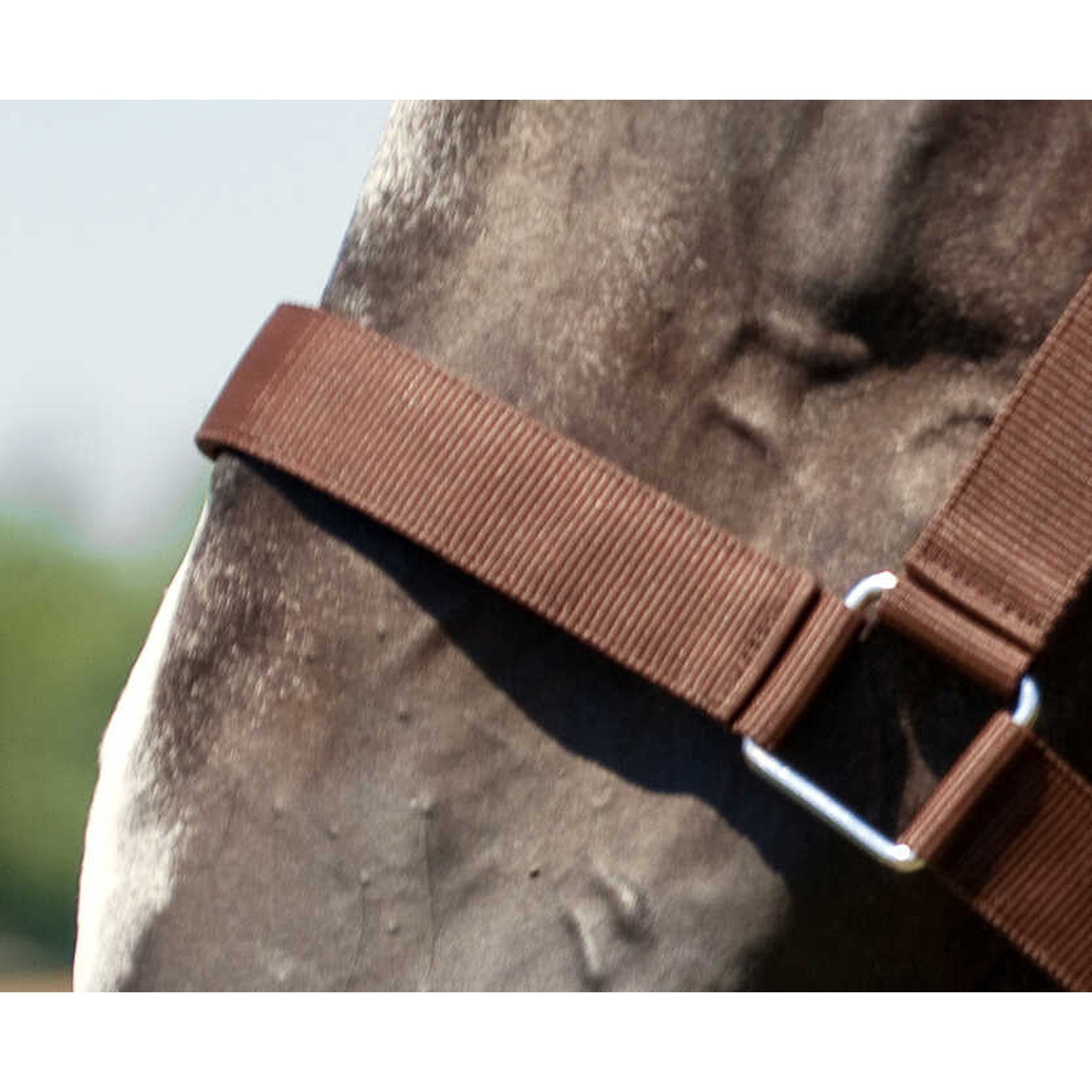 Draught horse nylon headcollar NORTON Brown 510193004