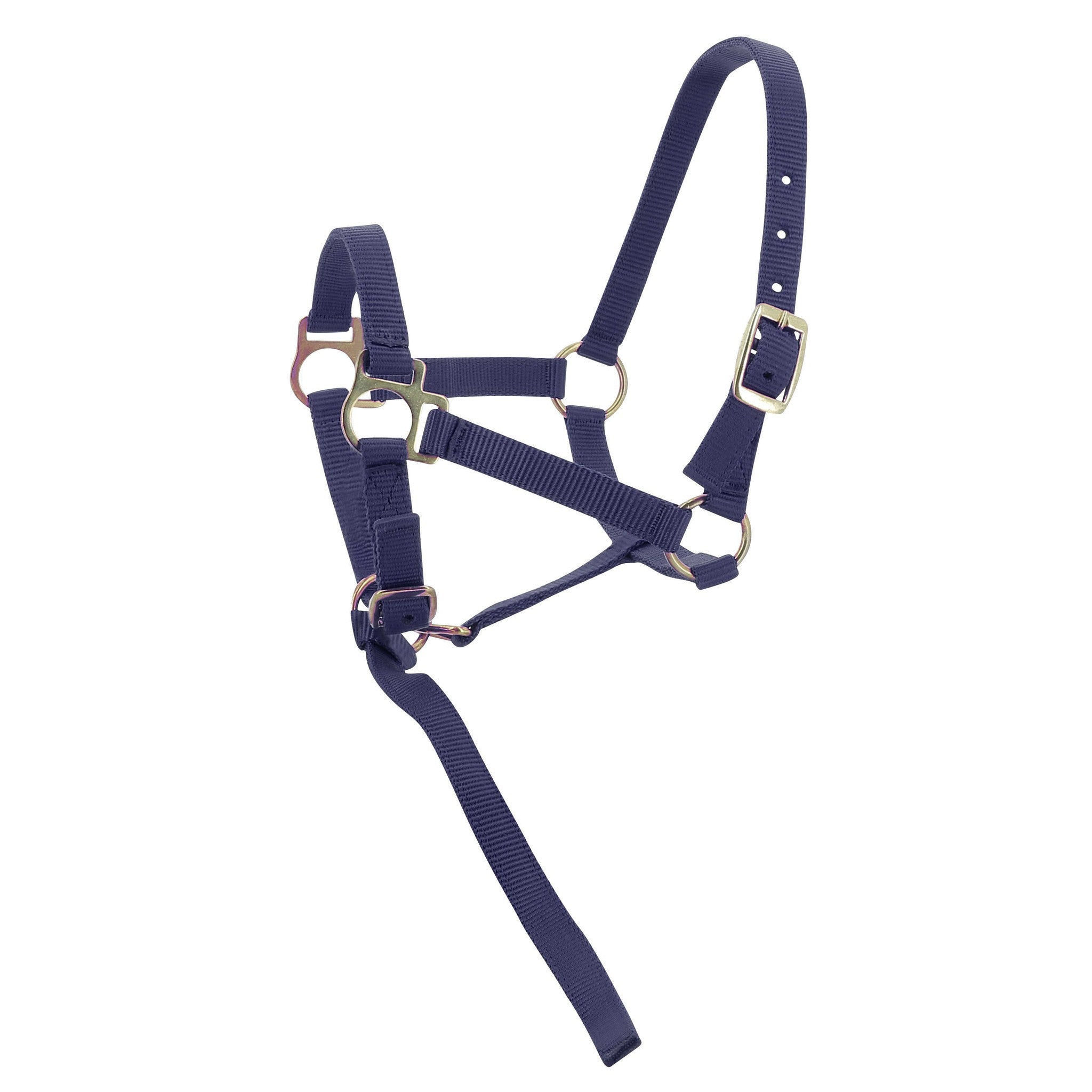 Norton Nylon halter foal Navy blue 510038007