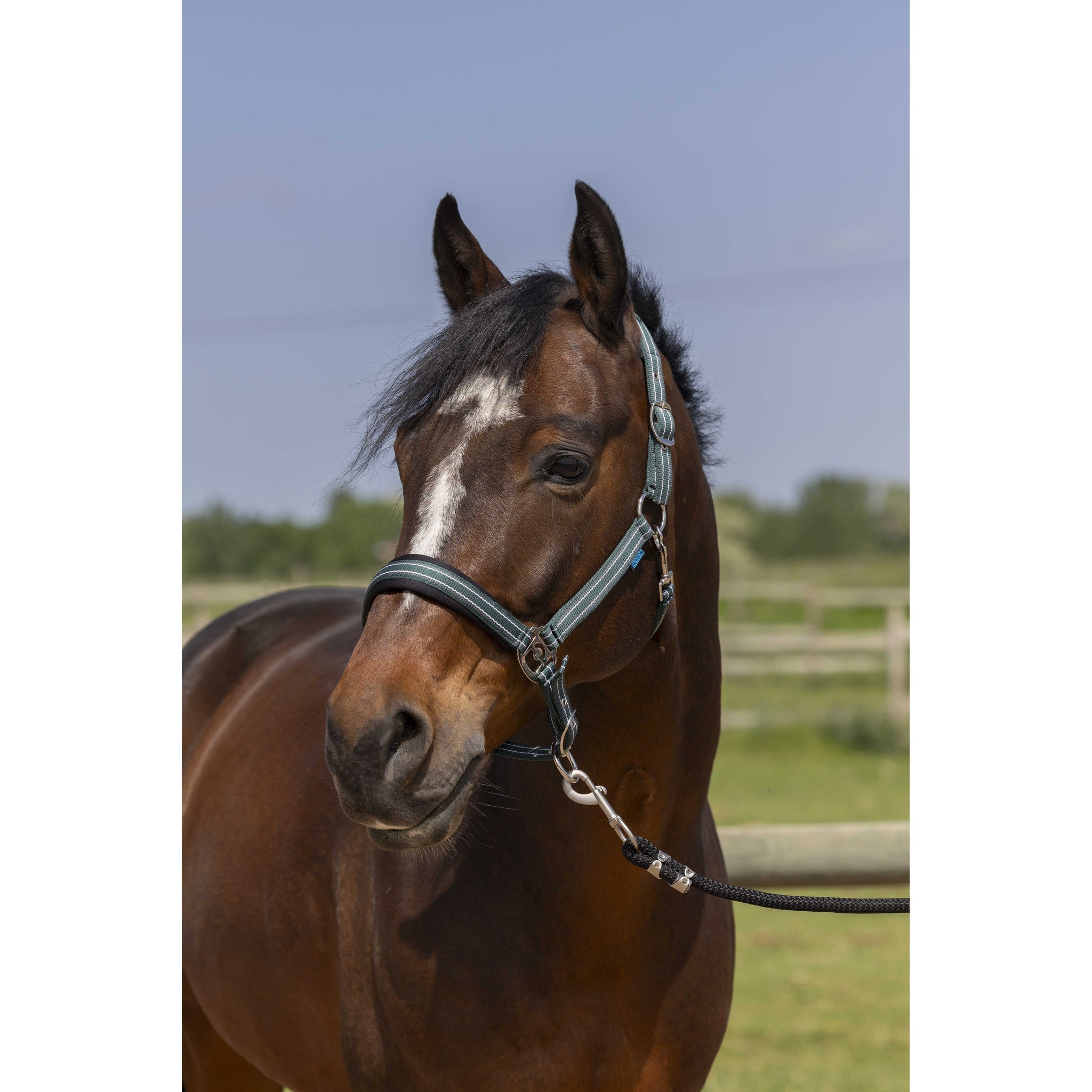 Norton 4lines Halter Dark green 510246309