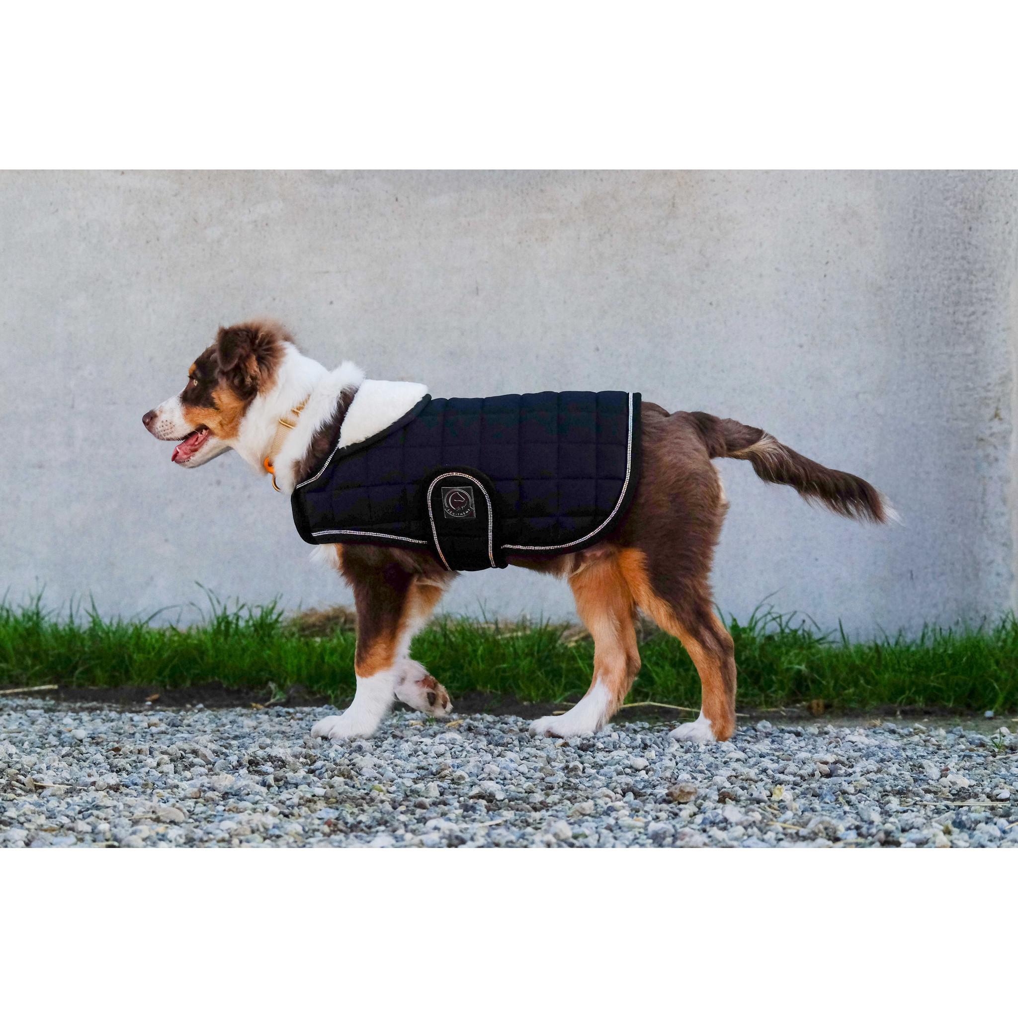 Je t'aime EQUITHÈME Velours dog rug Black 409037240