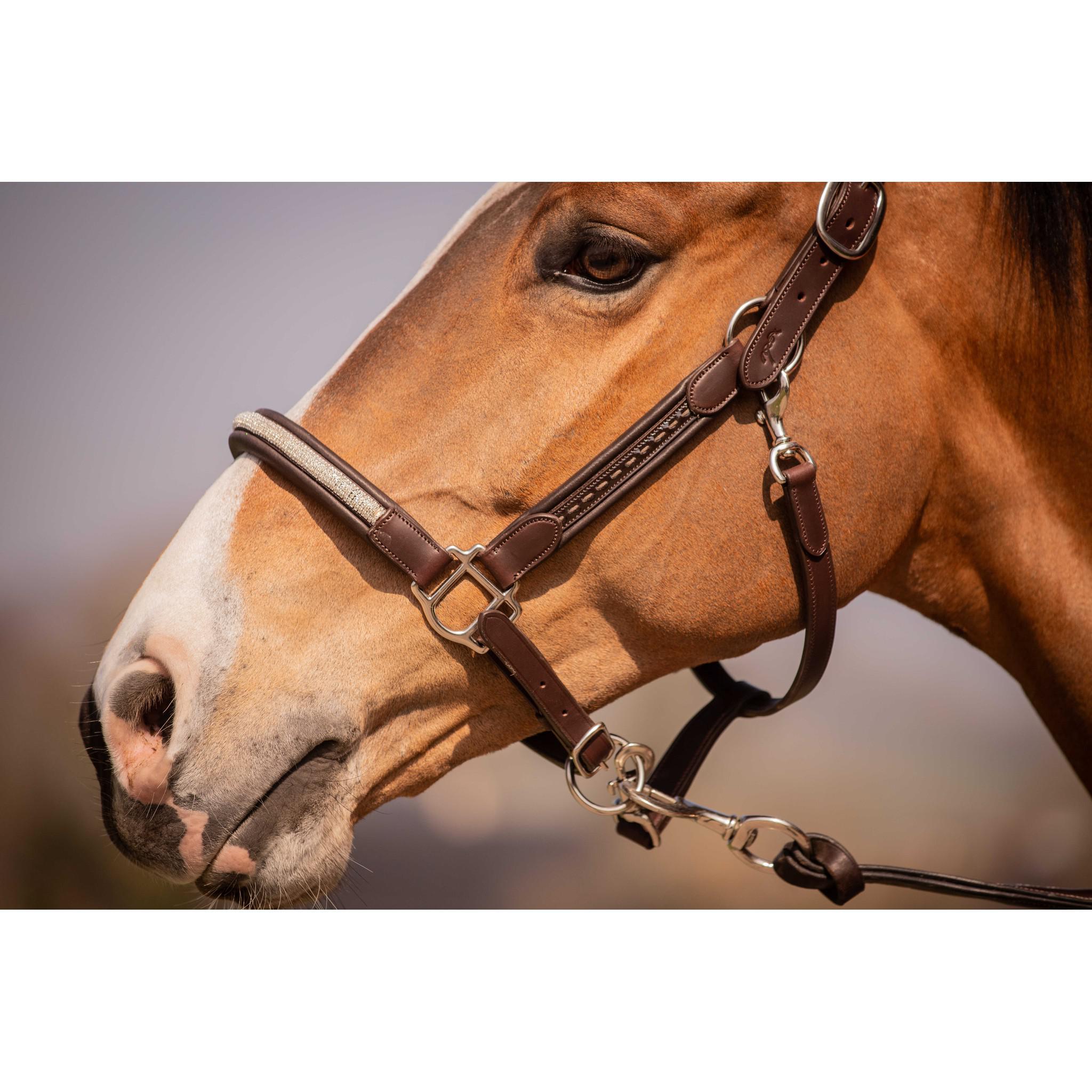 Pénélope Harmonie Halter Havana 301611318