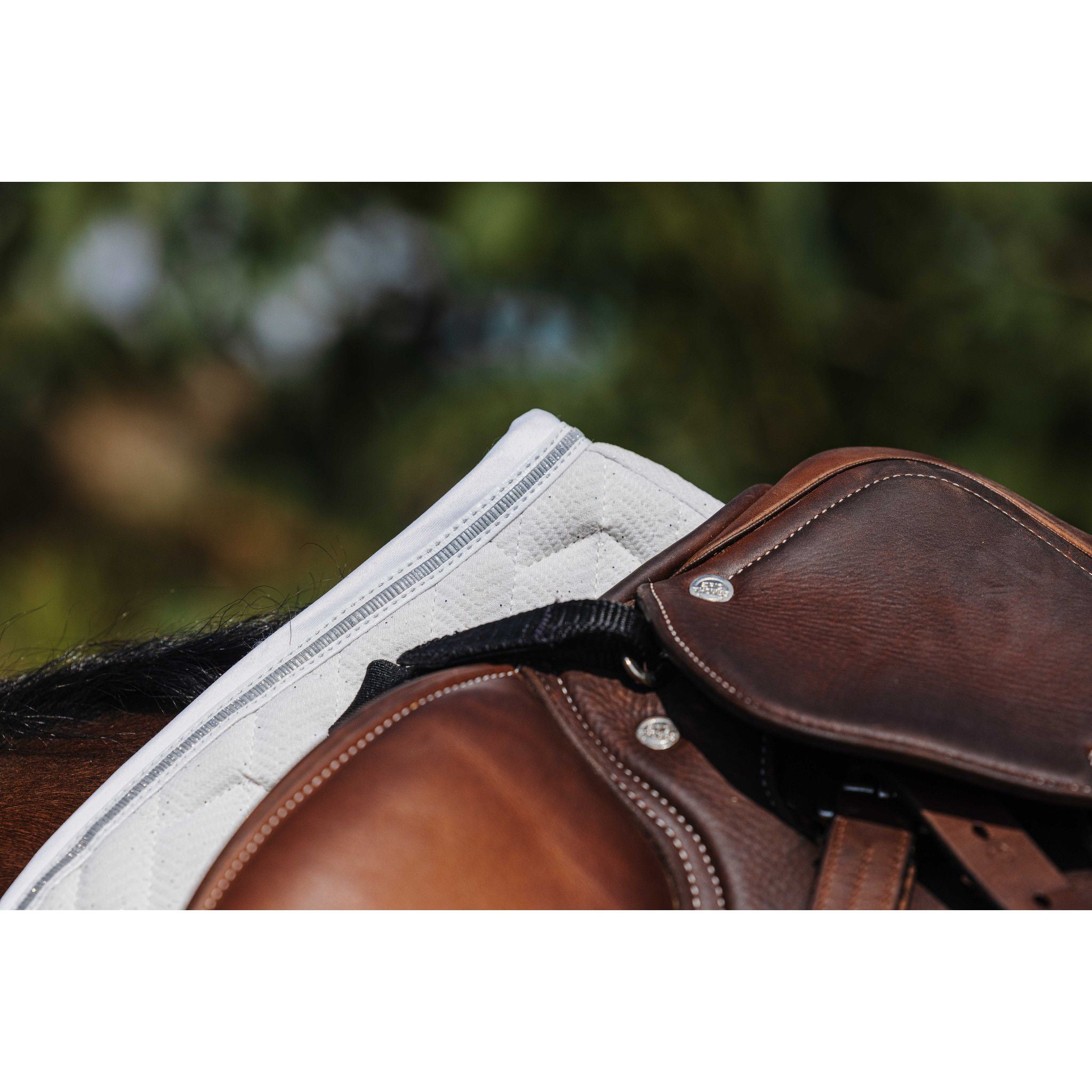 EQUITHÈME Éclat Saddle Pad - All purpose White 204008001