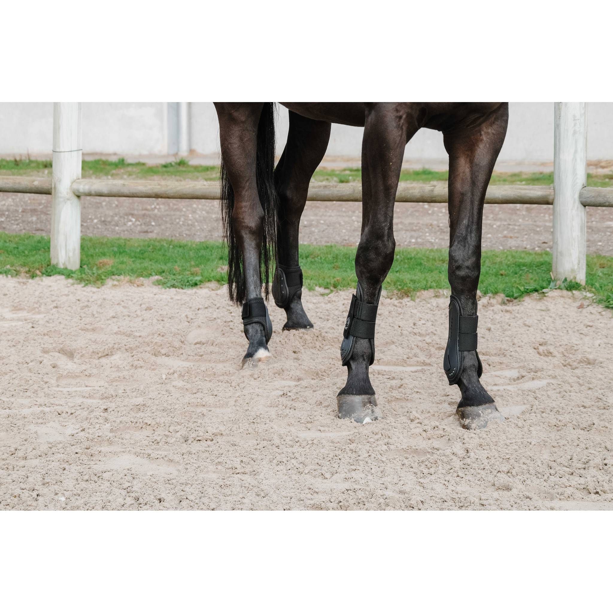 Je t'aime EQUITHÈME Fetlock + Tendon Boots Black 530820302