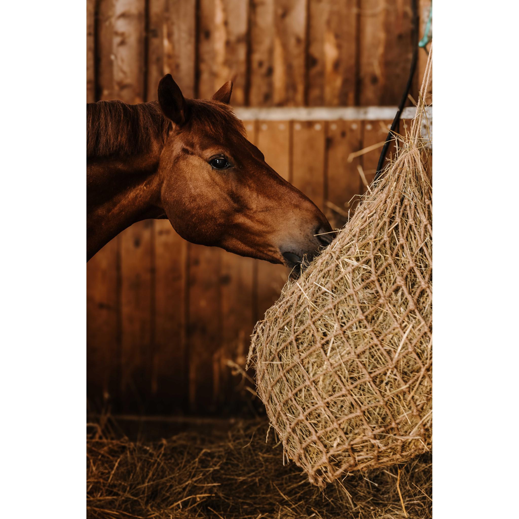 Hippo-Tonic Naturel Hay Net Natural 306841005