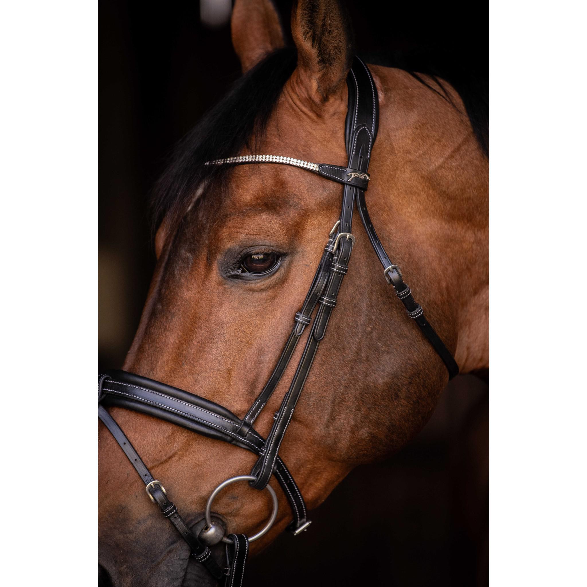 Pénélope Daily Strass Bridle Black 301613302
