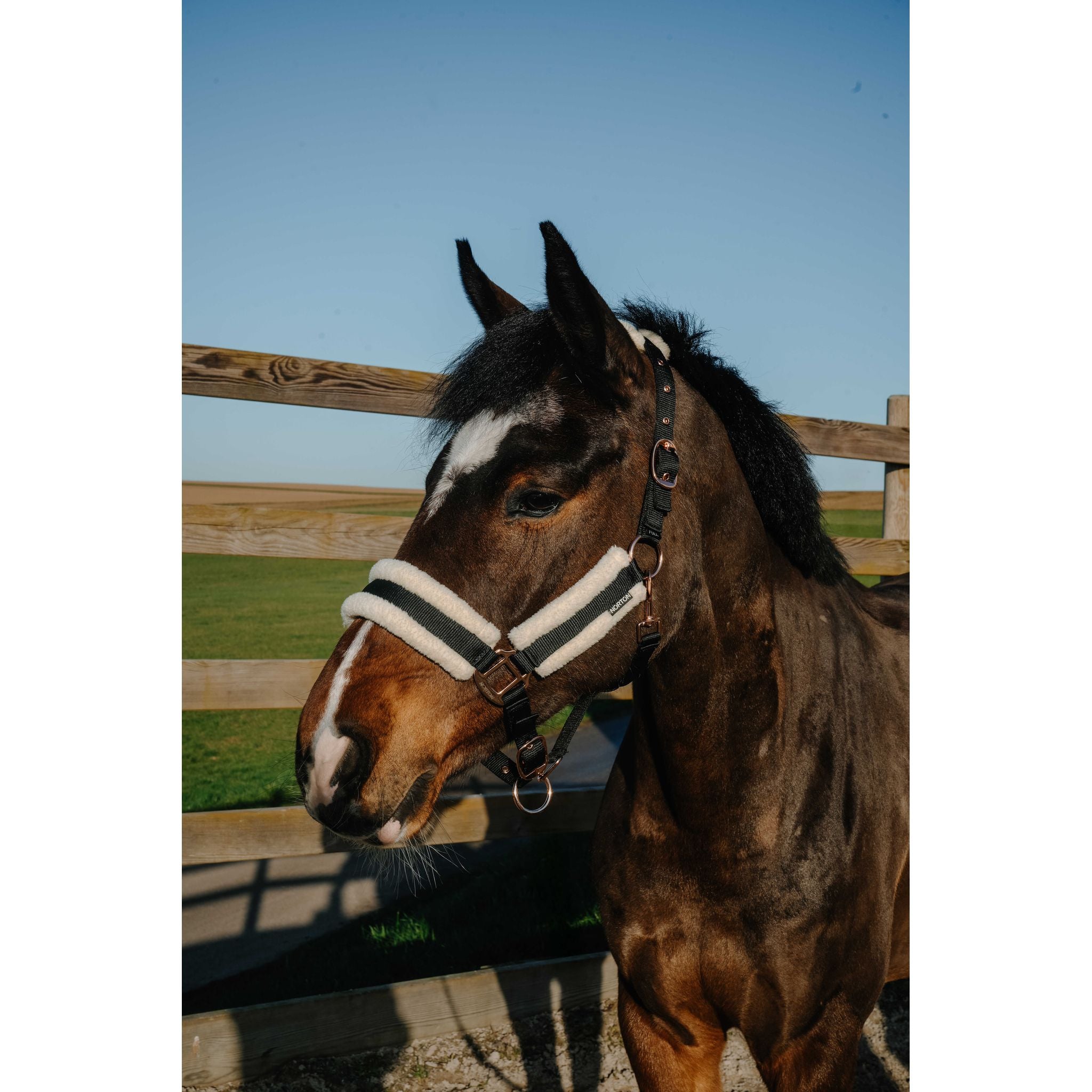 NORTON Comfy Halter Navy blue - 510280307_ambi_1