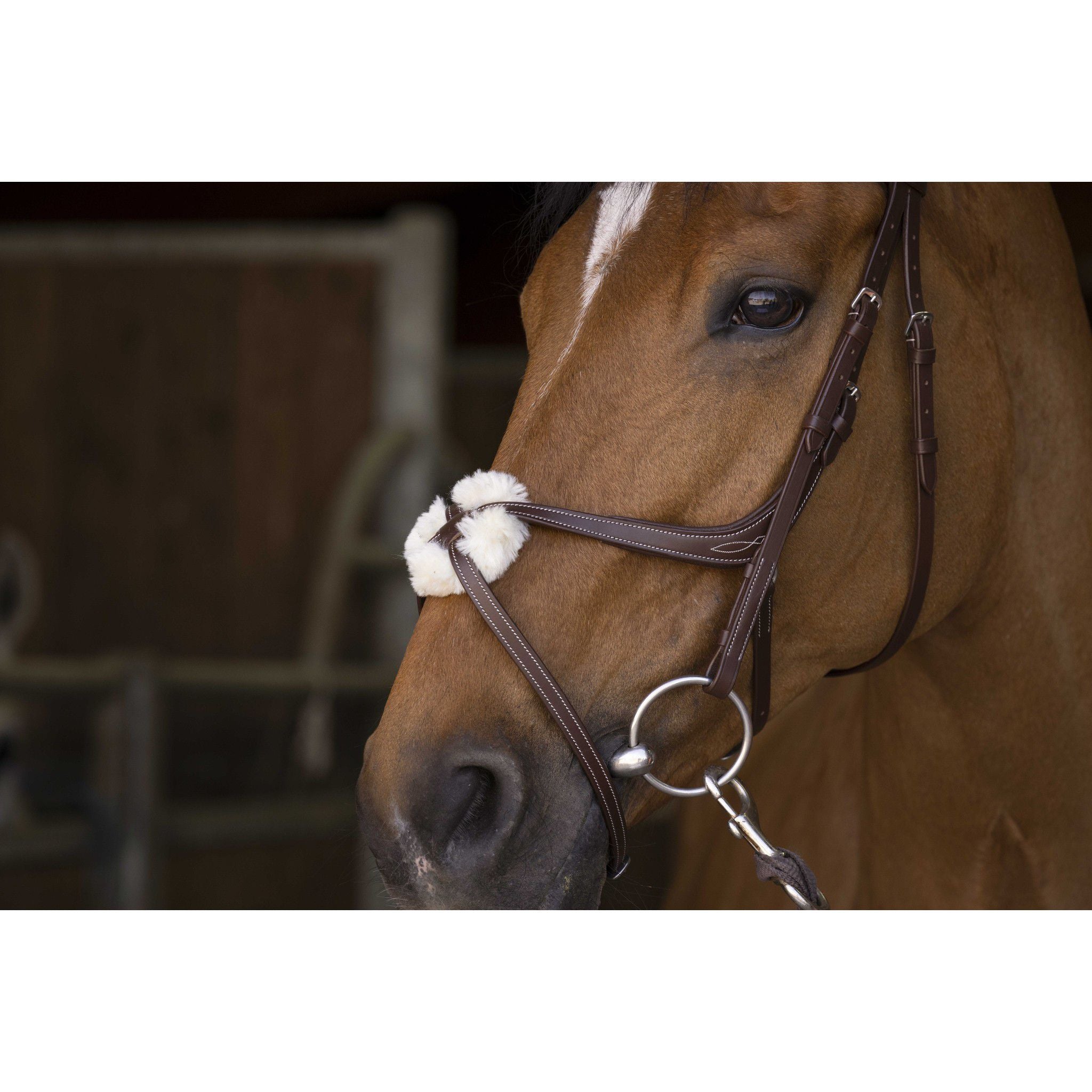 Norton Pro cross noseband Bridle Havana 301893318