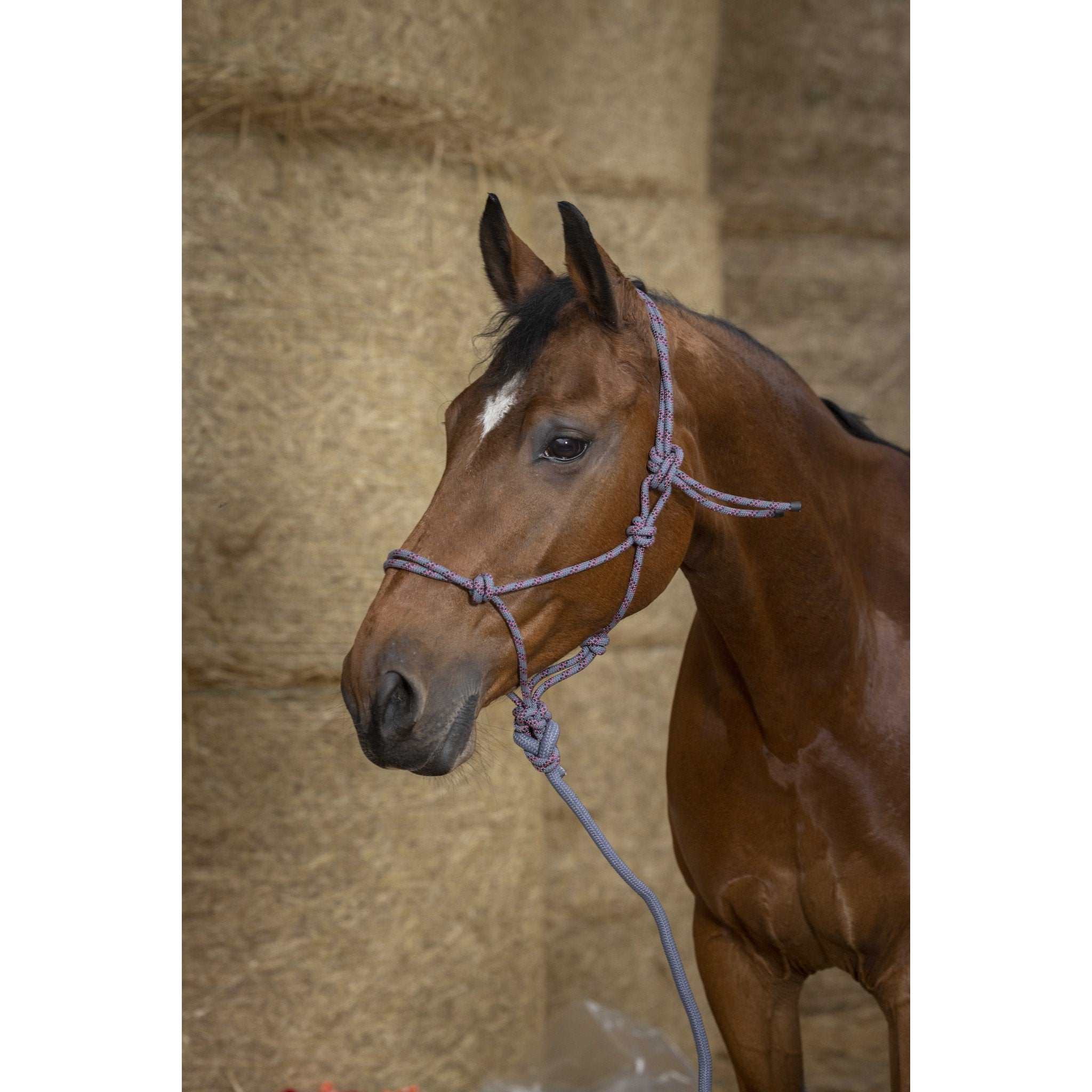 Norton Eco Ethological Halter + Lead Rope Grey 510163011