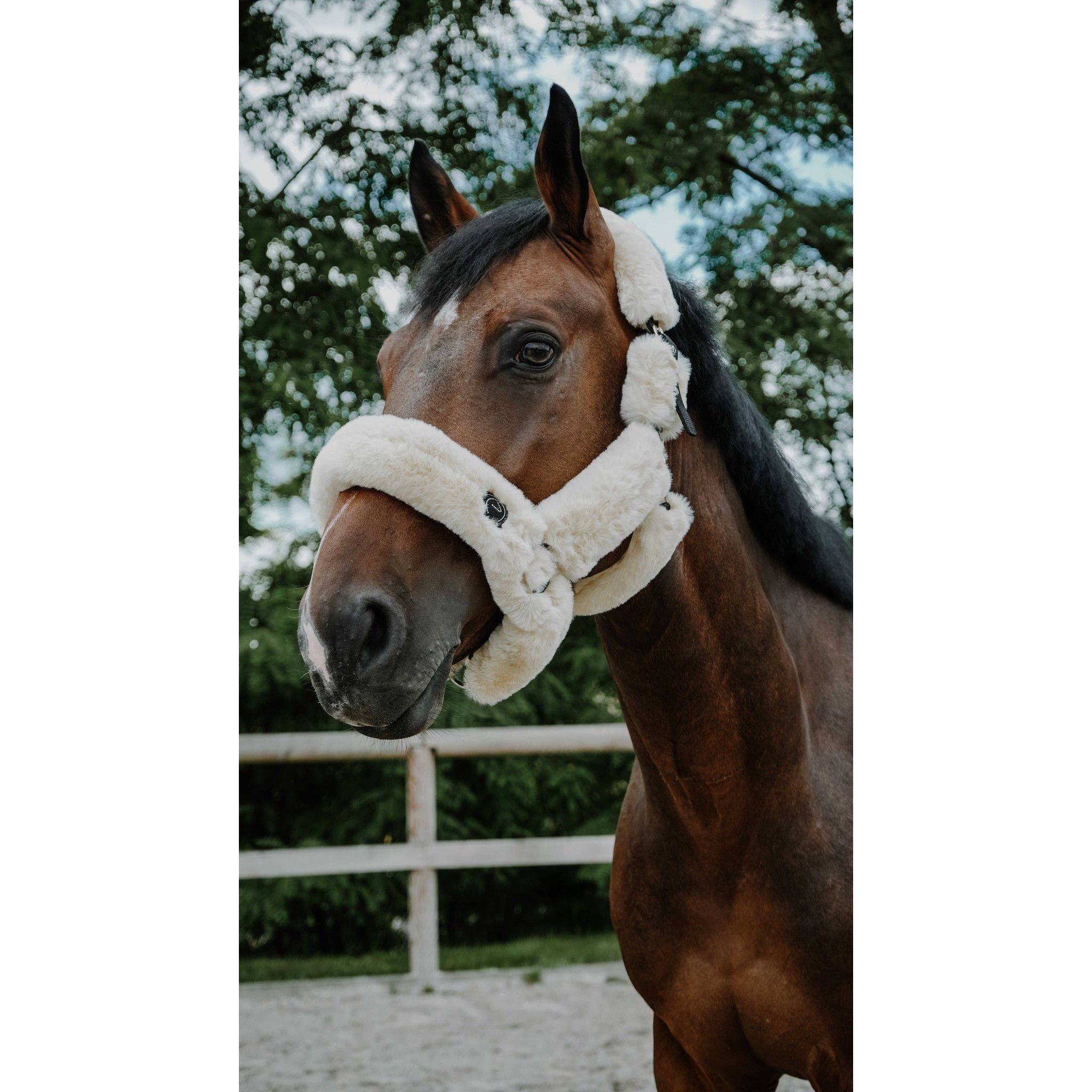 Je t'aime EQUITHÈME Snuggy Halter Ecru 510274305