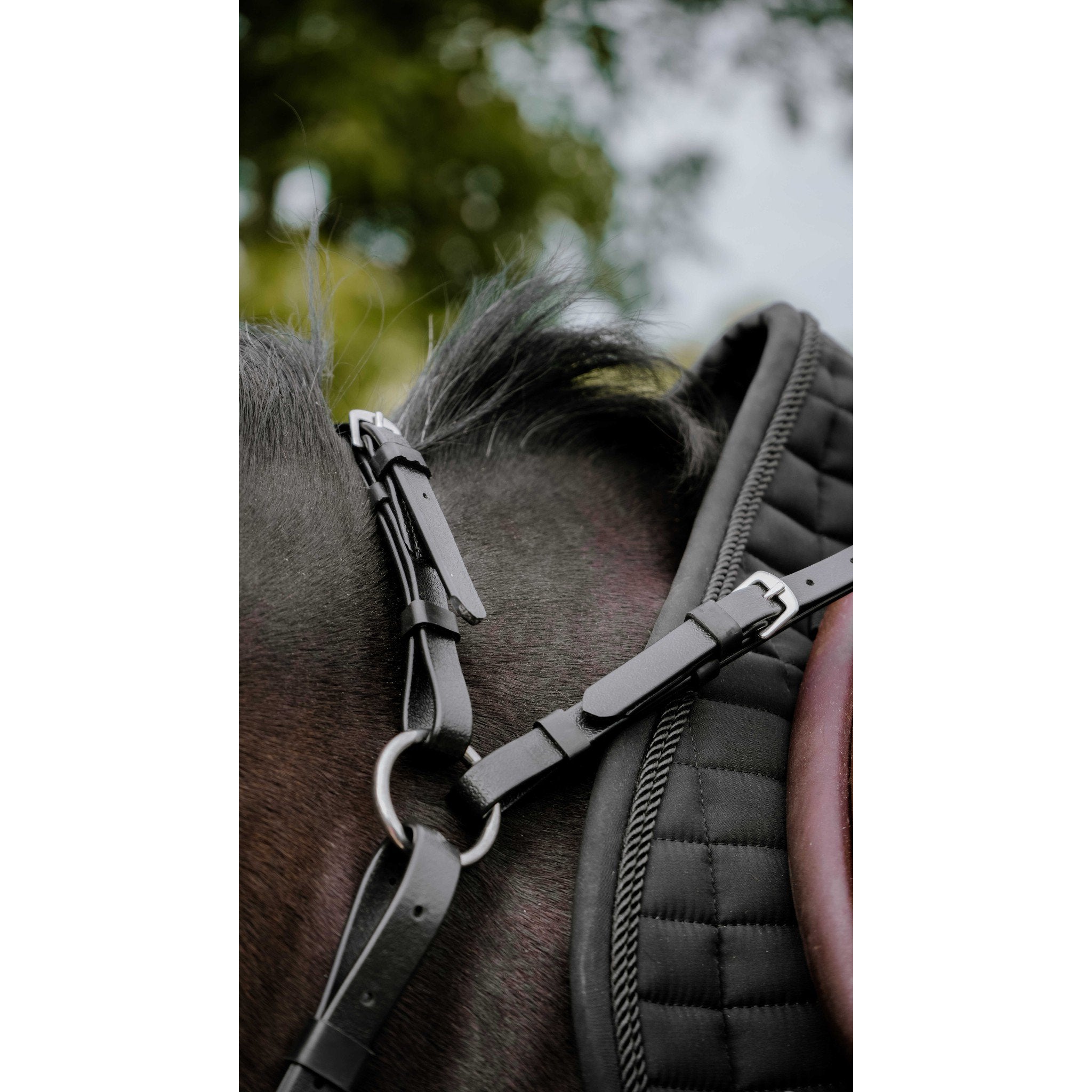 Norton Pop Breastplate Black 306617302