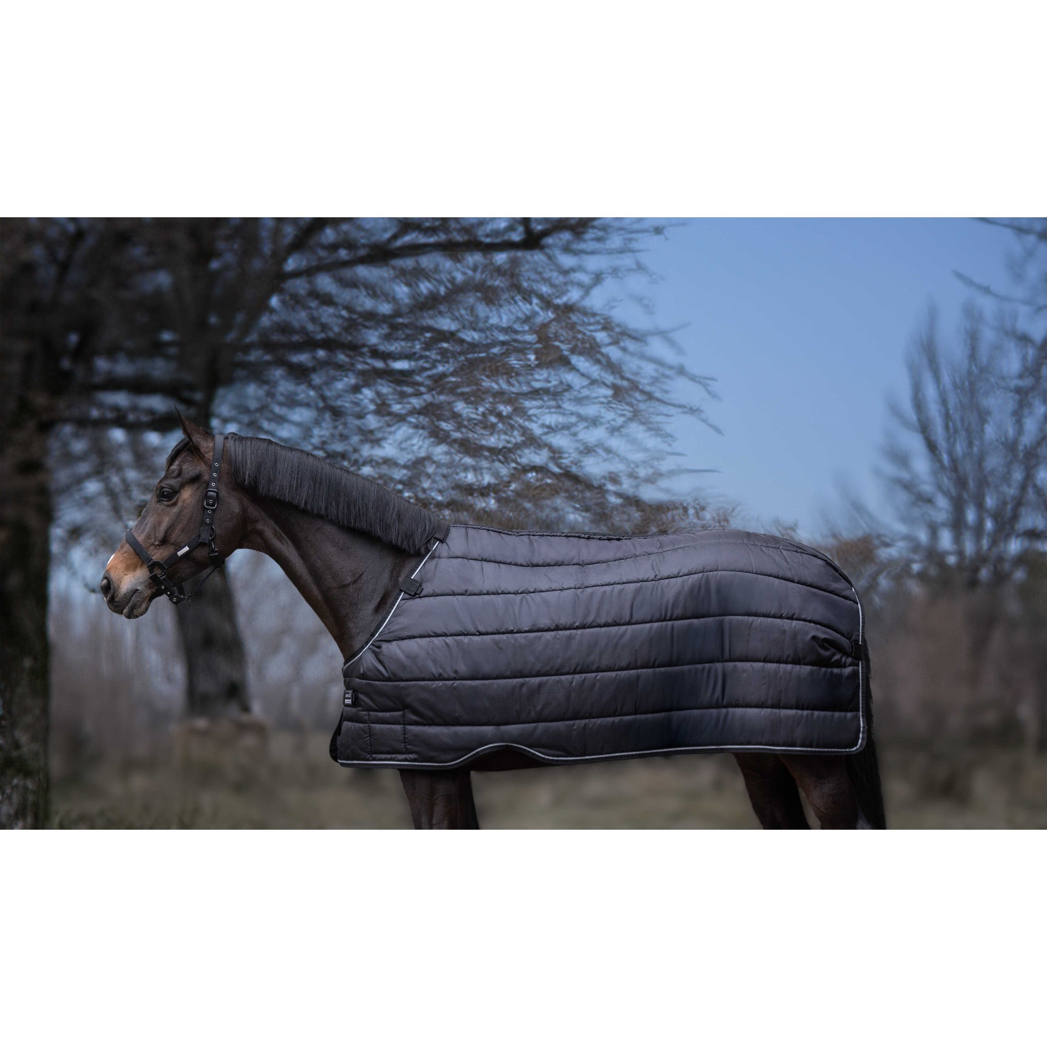 Lami-Cell Liner Black 400571060