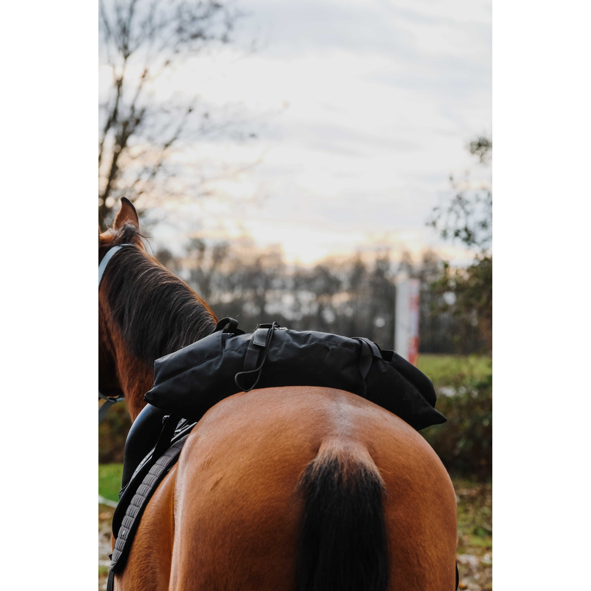 Randol's Banane Saddlebag Black 801004002