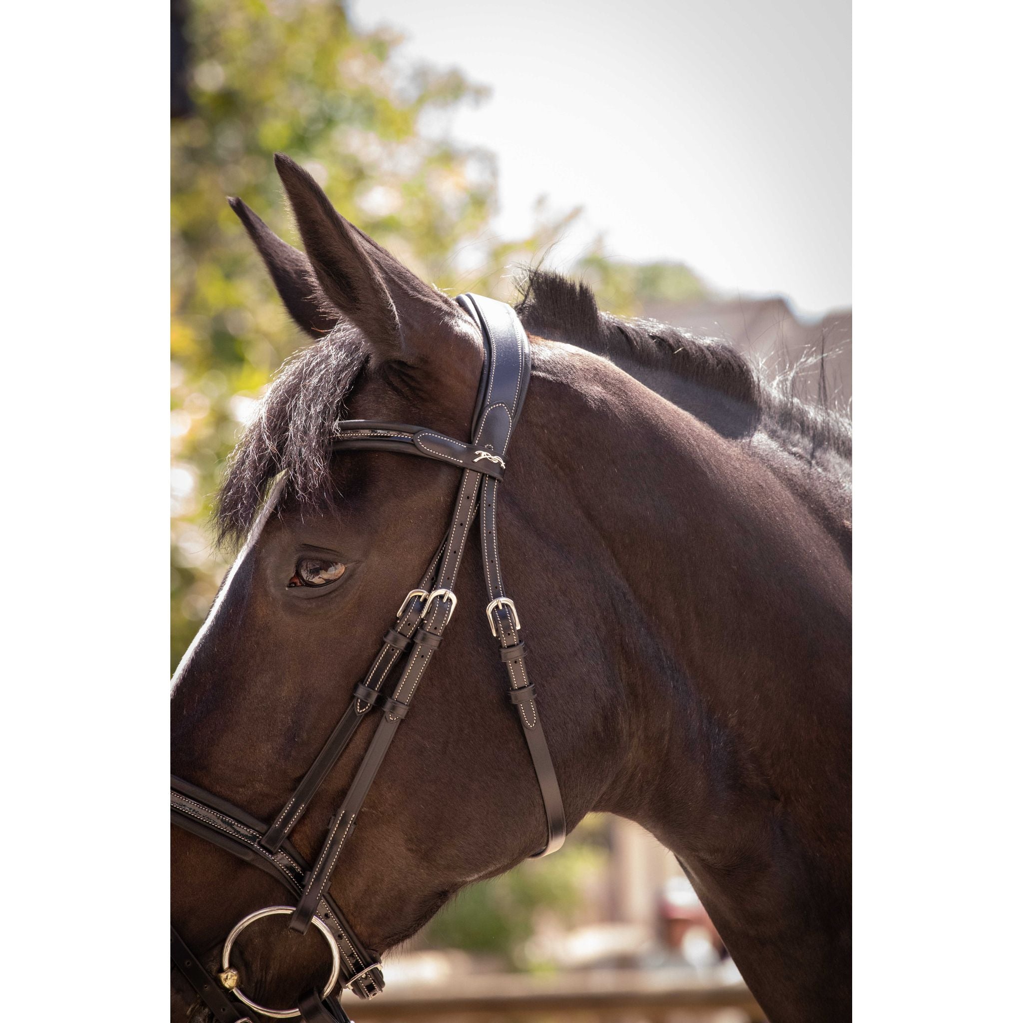 Penelope Smoothie Pearl Bridle Black - 301604302_ambi_8